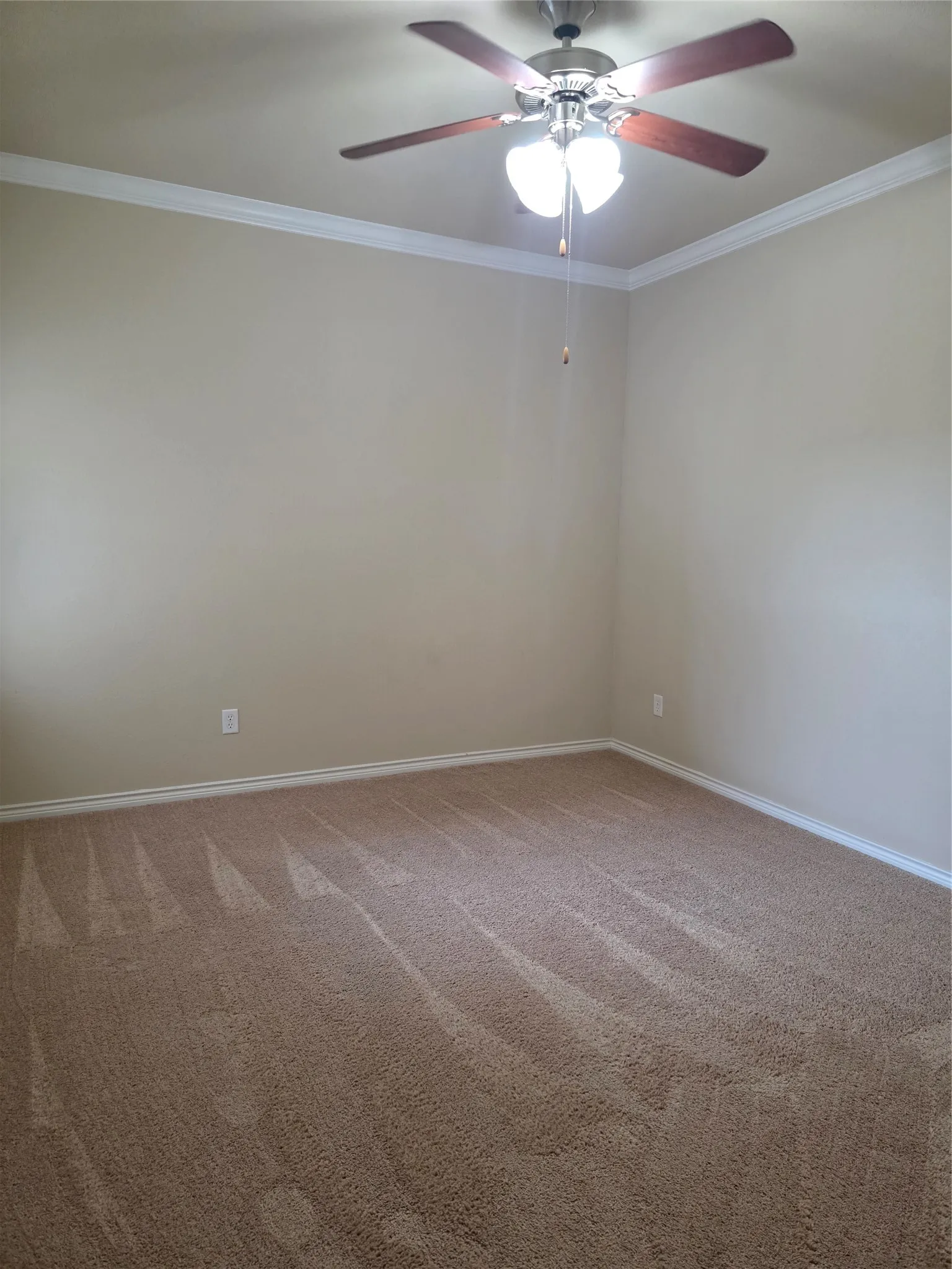 Ceiling fan with light kit and wood-finish blades, crown molding, and carpeted flooring