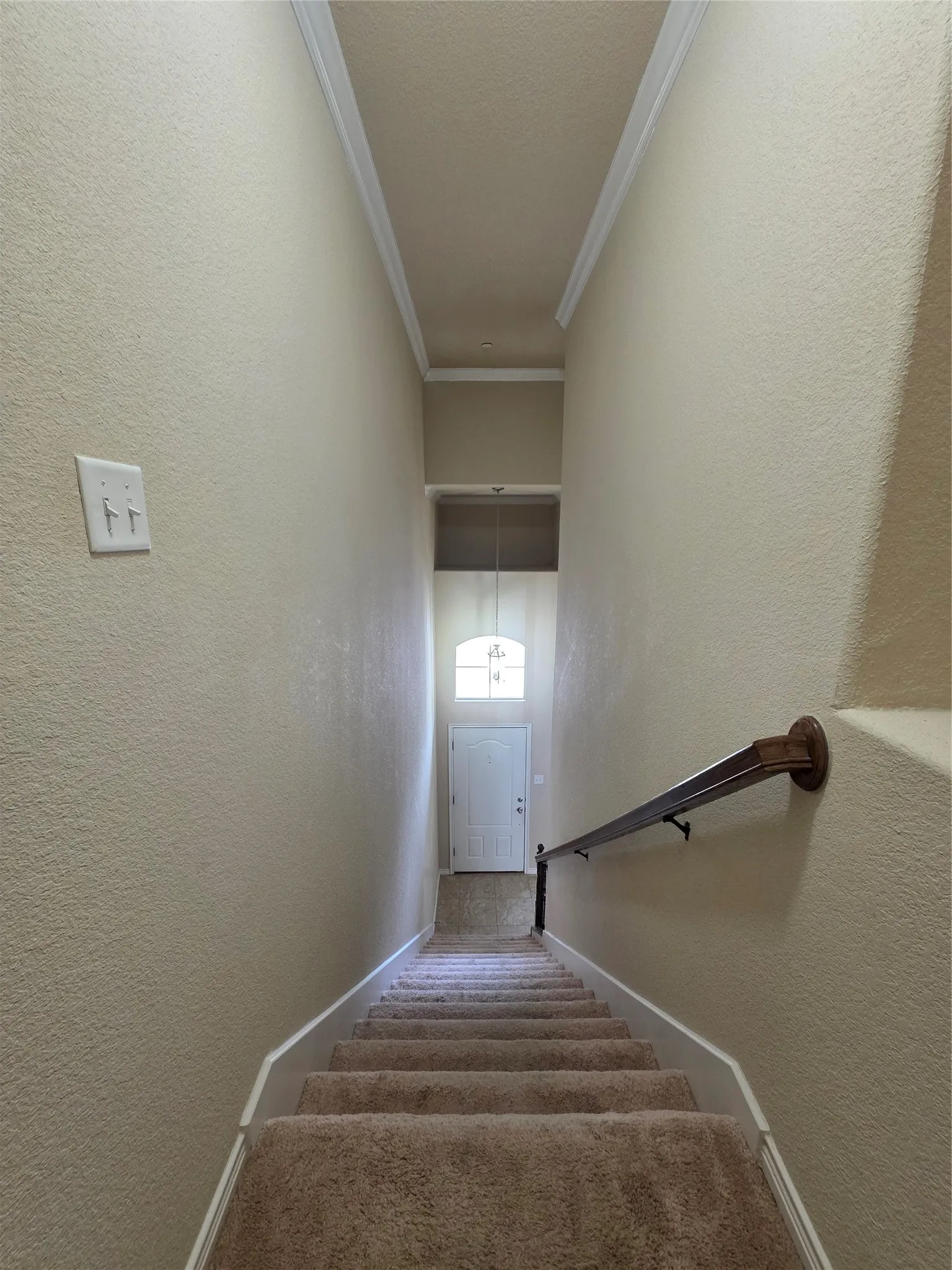 Carpeted staircase with wood-finish handrail, leading to a paneled front door with an arched transom window