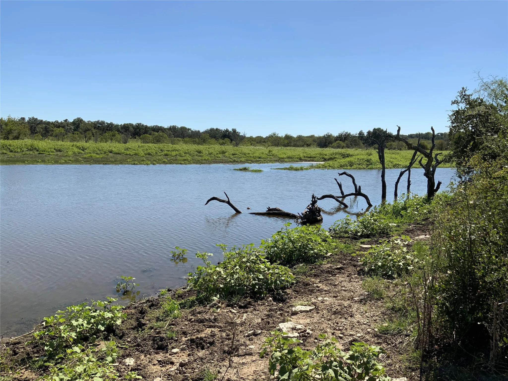 Ranch For Sale in Comanche County , TDB Fm 2486, Gustine, Texas 76455, 0, 0, Garage spaces, 0 Sqft, built in 1870, mls#21331185, Real Estate Agent in Gustine, Homes For Sale in Comanche county, Homes For Sale in Gustine, Realtor in Gustine Texas, Real Estate Brokerage Independent Realty Texas, Luminita Cordes Realtor