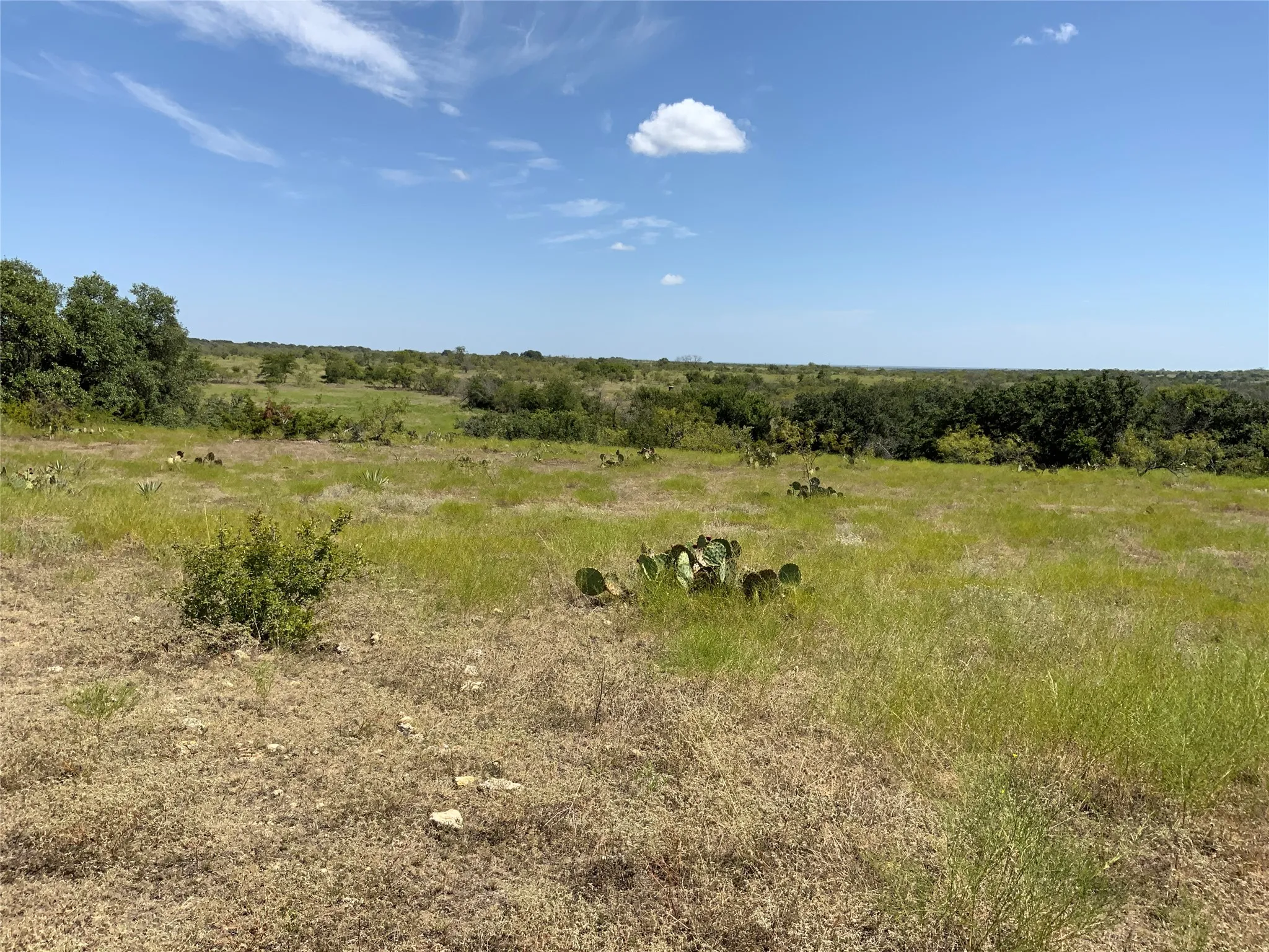 Ranch For Sale in Comanche County , TDB Fm 2486, Gustine, Texas 76455, 0, 0, Garage spaces, 0 Sqft, built in 1870, mls#21331185, Real Estate Agent in Gustine, Homes For Sale in Comanche county, Homes For Sale in Gustine, Realtor in Gustine Texas, Real Estate Brokerage Independent Realty Texas, Luminita Cordes Realtor