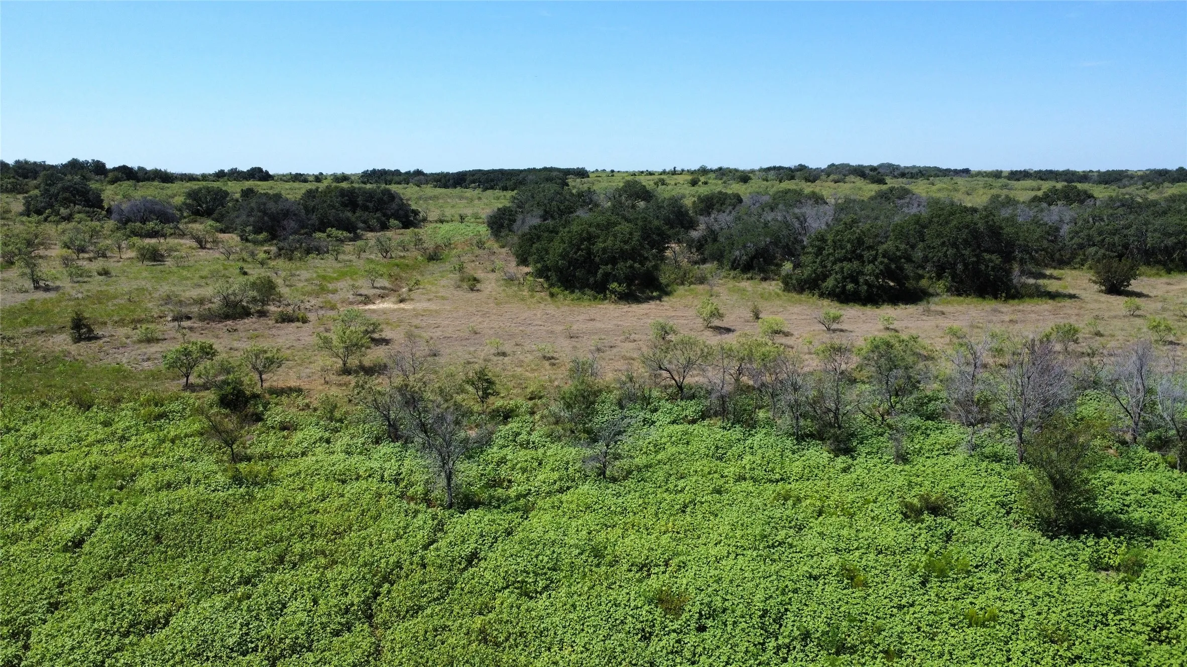 Ranch For Sale in Comanche County , TDB Fm 2486, Gustine, Texas 76455, 0, 0, Garage spaces, 0 Sqft, built in 1870, mls#21331185, Real Estate Agent in Gustine, Homes For Sale in Comanche county, Homes For Sale in Gustine, Realtor in Gustine Texas, Real Estate Brokerage Independent Realty Texas, Luminita Cordes Realtor