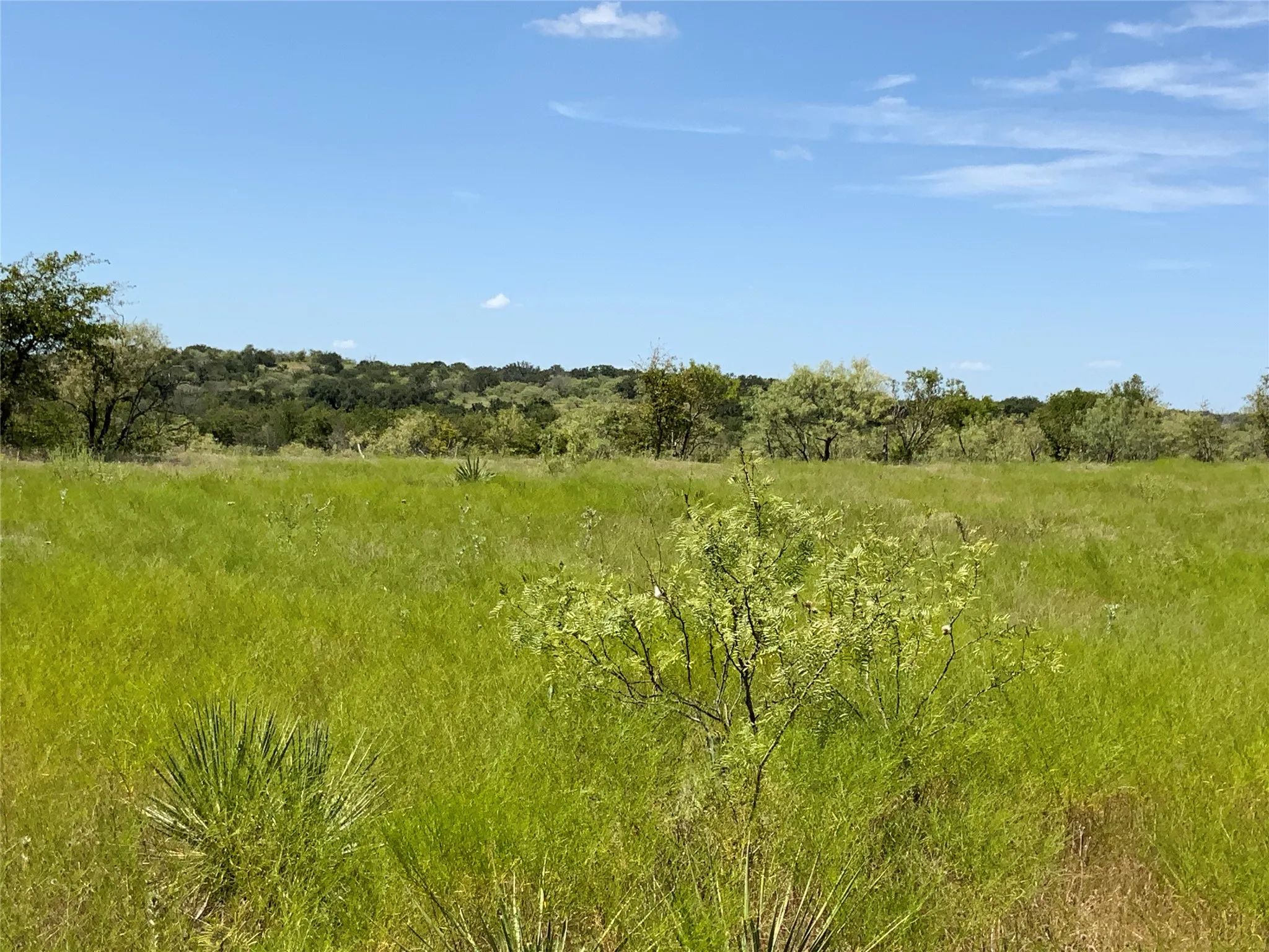 Ranch For Sale in Comanche County , TDB Fm 2486, Gustine, Texas 76455, 0, 0, Garage spaces, 0 Sqft, built in 1870, mls#21331185, Real Estate Agent in Gustine, Homes For Sale in Comanche county, Homes For Sale in Gustine, Realtor in Gustine Texas, Real Estate Brokerage Independent Realty Texas, Luminita Cordes Realtor