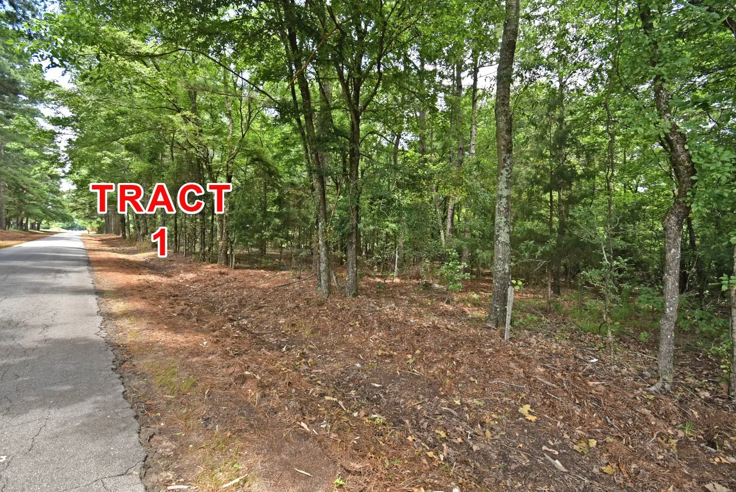Unimproved Land For Sale in Red River (TX) County , Tract 1 County Road 3117, Clarksville, Texas 75426, 0, 0, Garage spaces, 0 Sqft, built in 0, mls#21330563, Real Estate Agent in Clarksville, Homes For Sale in Red River (TX) county, Homes For Sale in Clarksville, Realtor in Clarksville Texas, Real Estate Brokerage Independent Realty Texas, Luminita Cordes Realtor