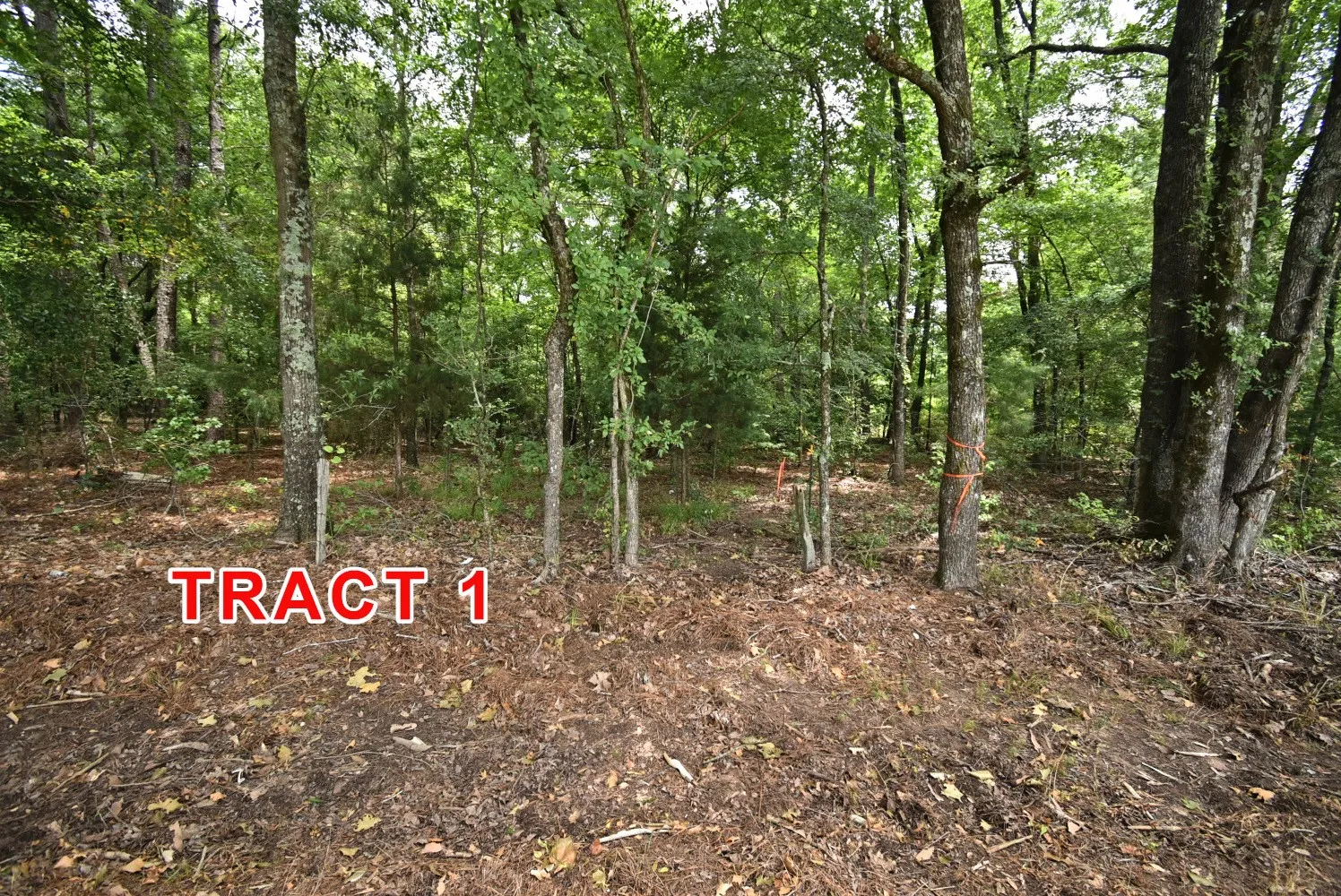 Unimproved Land For Sale in Red River (TX) County , Tract 1 County Road 3117, Clarksville, Texas 75426, 0, 0, Garage spaces, 0 Sqft, built in 0, mls#21330563, Real Estate Agent in Clarksville, Homes For Sale in Red River (TX) county, Homes For Sale in Clarksville, Realtor in Clarksville Texas, Real Estate Brokerage Independent Realty Texas, Luminita Cordes Realtor