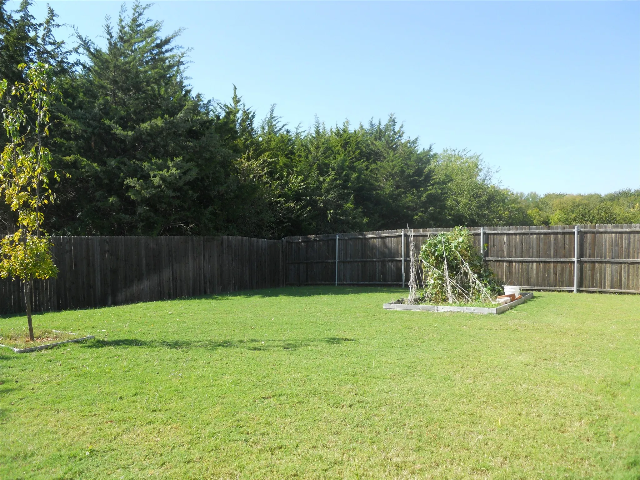 Single Family Residence For Rent in Collin County , 1205 Jasper Crossing, Princeton, Texas 75407, 4 Bedroom, 2 Bathroom, 2 Garage spaces, 1,890 Sqft, built in 2017, mls#21331269, Real Estate Agent in Princeton, Homes For Rent in Collin county, Homes For Rent in Princeton, Realtor in Princeton Texas, Real Estate Brokerage Independent Realty Texas, Luminita Cordes Realtor