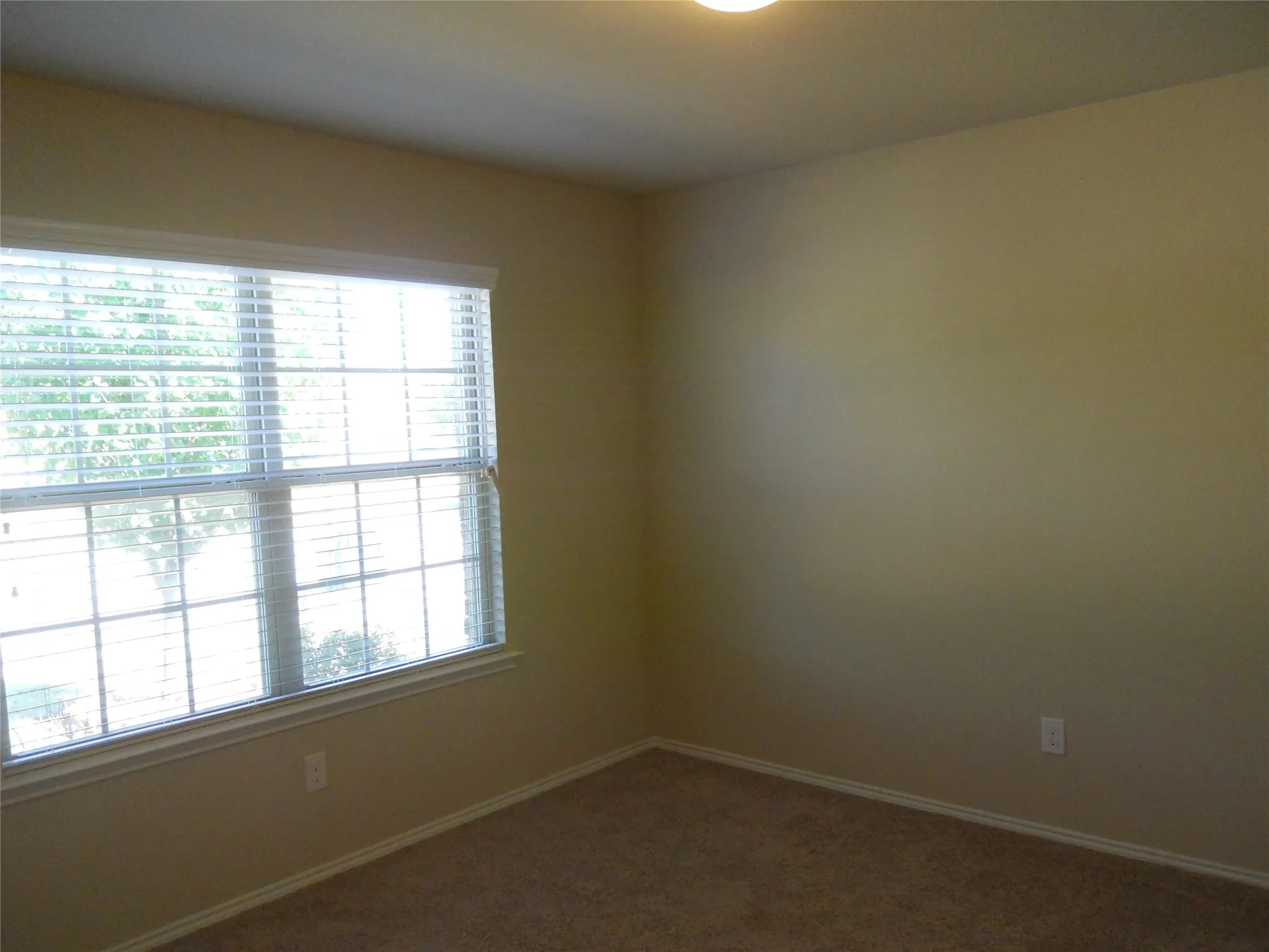 Single Family Residence For Rent in Collin County , 1205 Jasper Crossing, Princeton, Texas 75407, 4 Bedroom, 2 Bathroom, 2 Garage spaces, 1,890 Sqft, built in 2017, mls#21331269, Real Estate Agent in Princeton, Homes For Rent in Collin county, Homes For Rent in Princeton, Realtor in Princeton Texas, Real Estate Brokerage Independent Realty Texas, Luminita Cordes Realtor