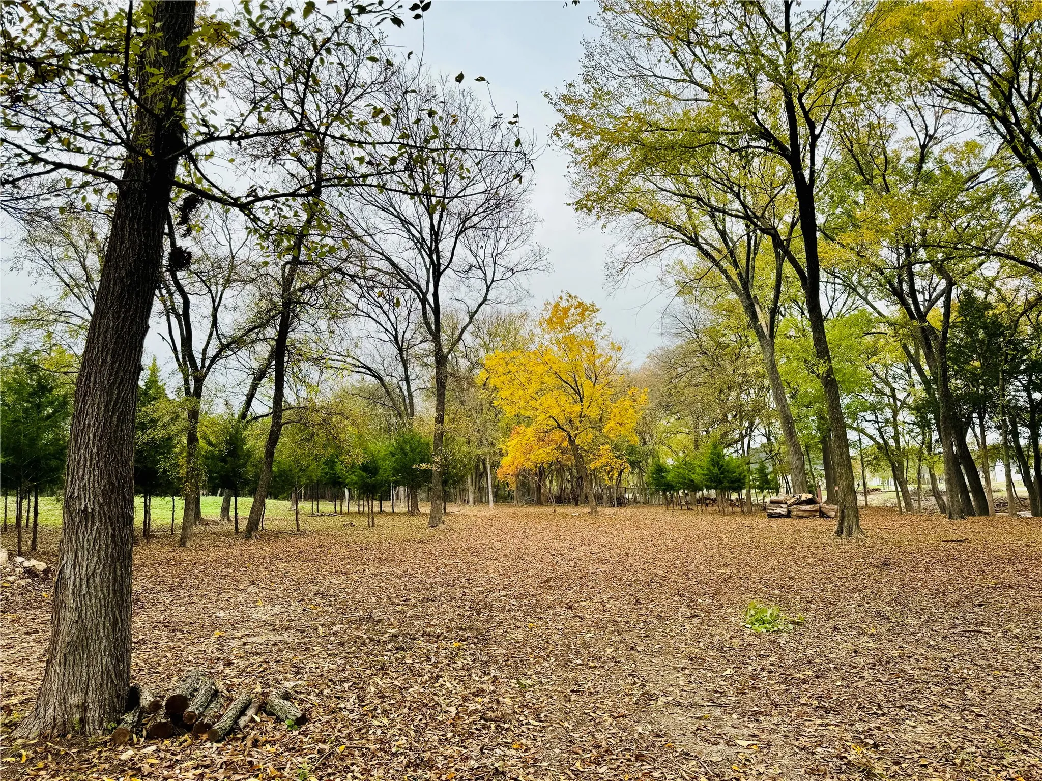 Unimproved Land For Sale in Ellis County , 5631 Melrose Lane, Midlothian, Texas 76065, 0, 0, Garage spaces, 0 Sqft, built in 0, mls#21330990, Real Estate Agent in Midlothian, Homes For Sale in Ellis county, Homes For Sale in Midlothian, Realtor in Midlothian Texas, Real Estate Brokerage Independent Realty Texas, Luminita Cordes Realtor