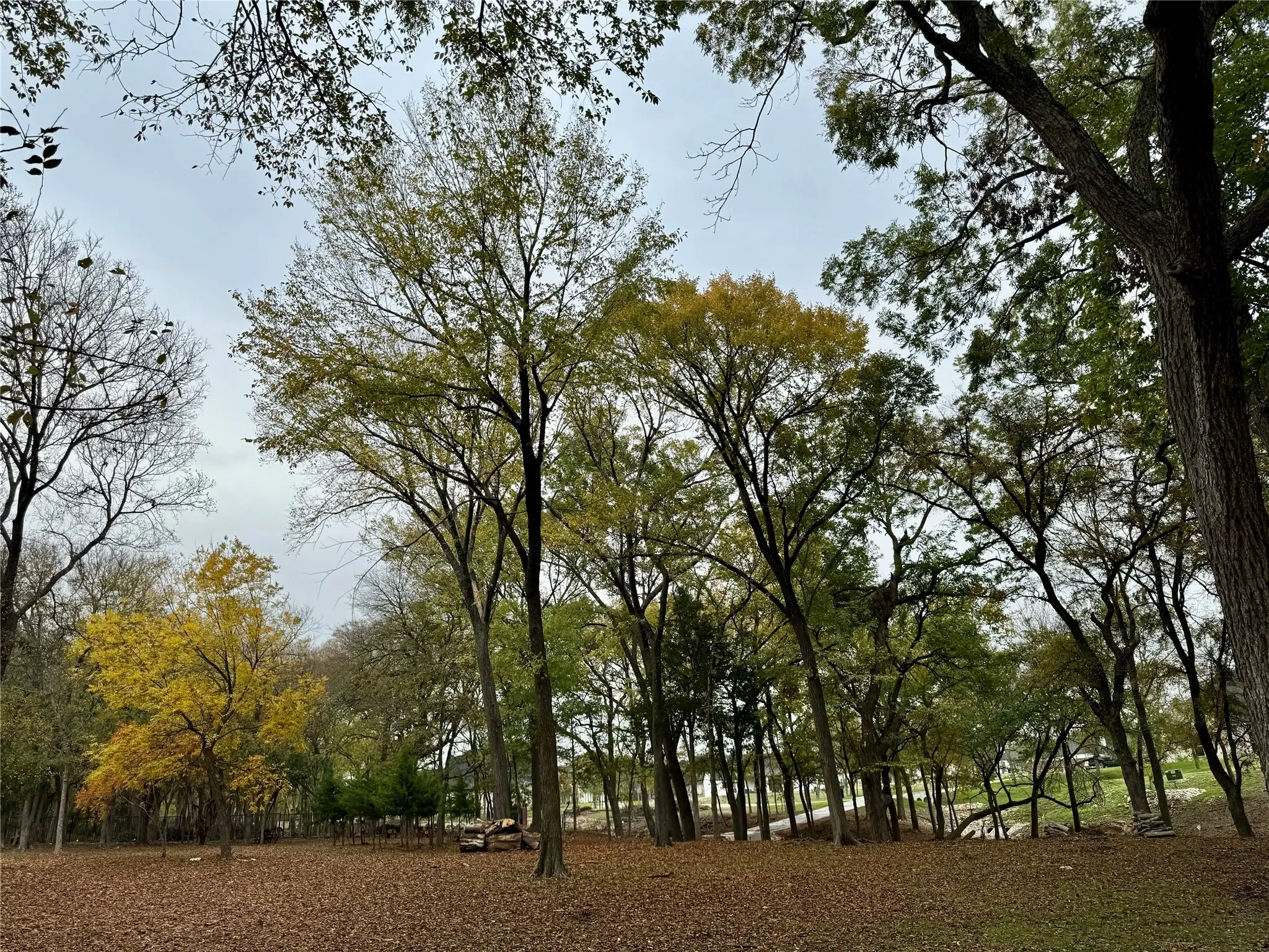 Unimproved Land For Sale in Ellis County , 5631 Melrose Lane, Midlothian, Texas 76065, 0, 0, Garage spaces, 0 Sqft, built in 0, mls#21330990, Real Estate Agent in Midlothian, Homes For Sale in Ellis county, Homes For Sale in Midlothian, Realtor in Midlothian Texas, Real Estate Brokerage Independent Realty Texas, Luminita Cordes Realtor