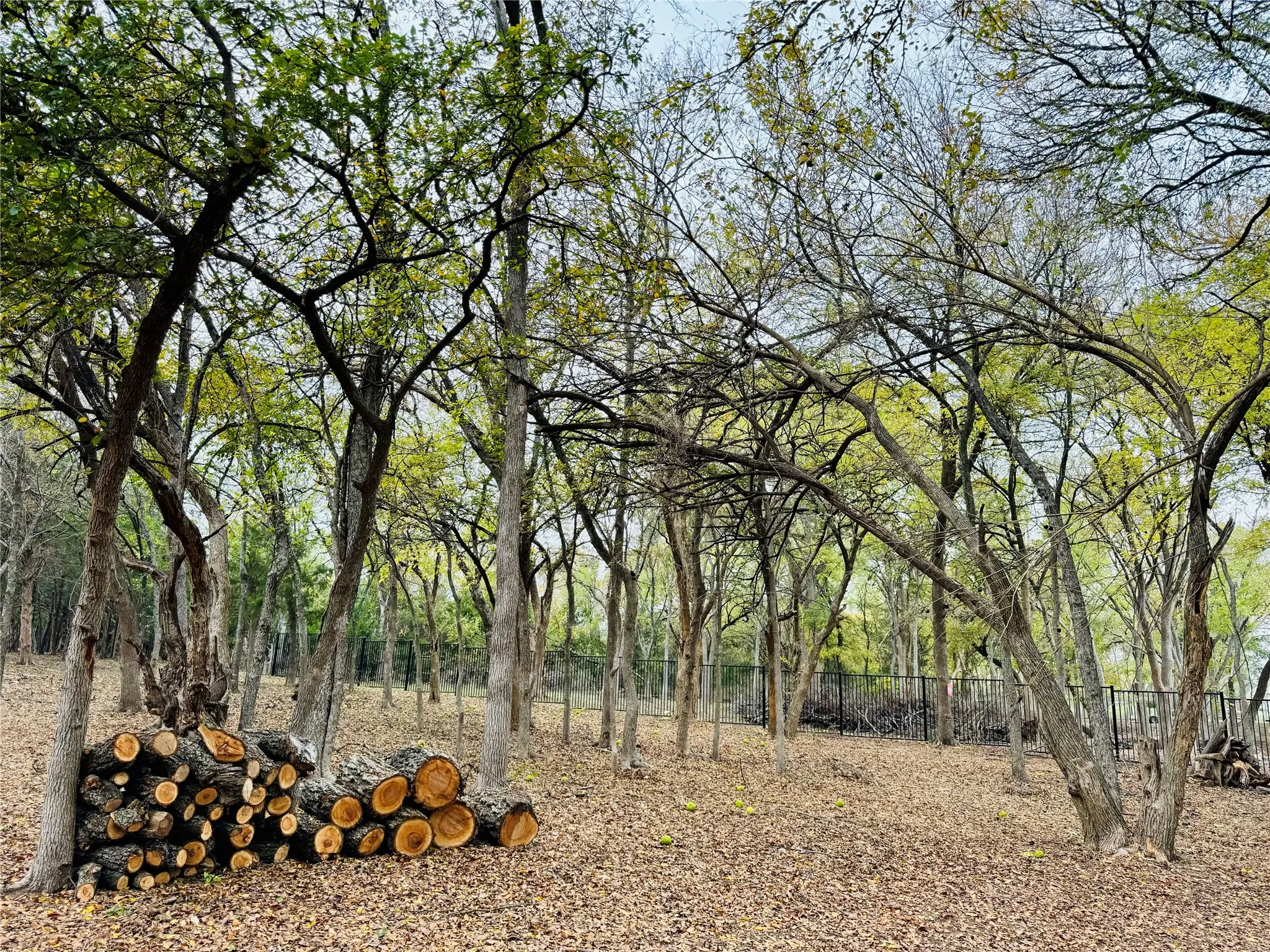 Wooded lot with mature trees and a natural setting