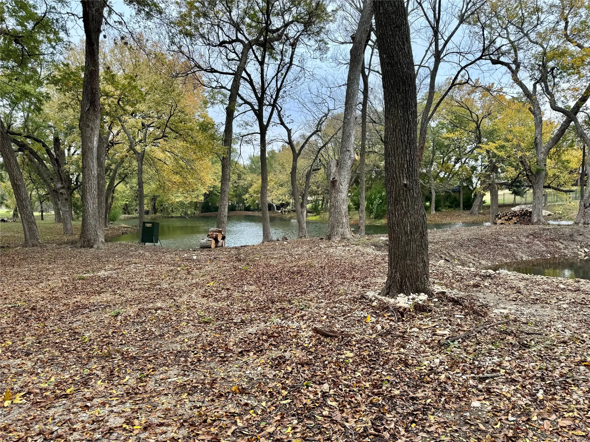 Natural landscape featuring a pond surrounded by mature deciduous trees