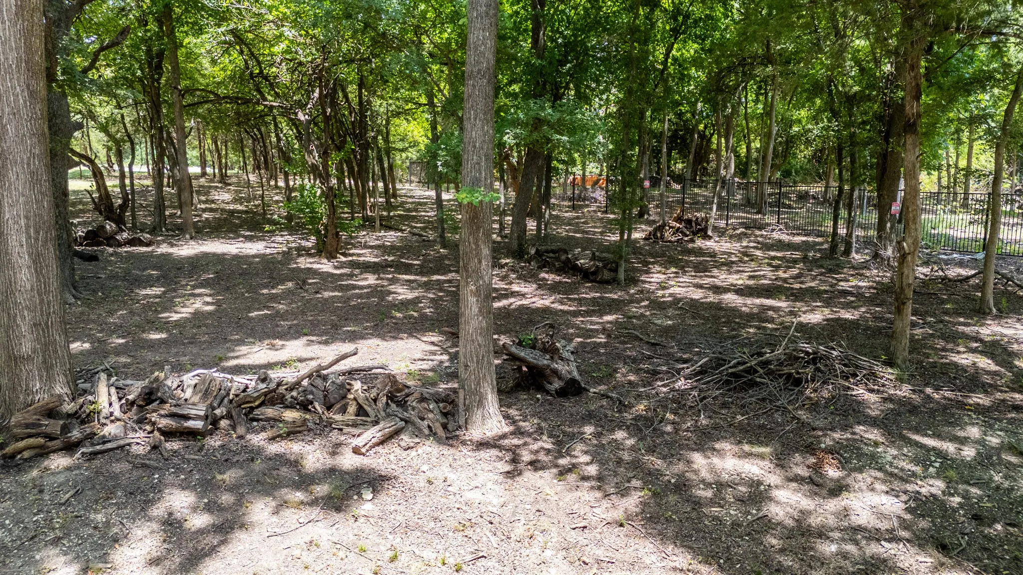 Wooded lot featuring mature trees and dappled sunlight