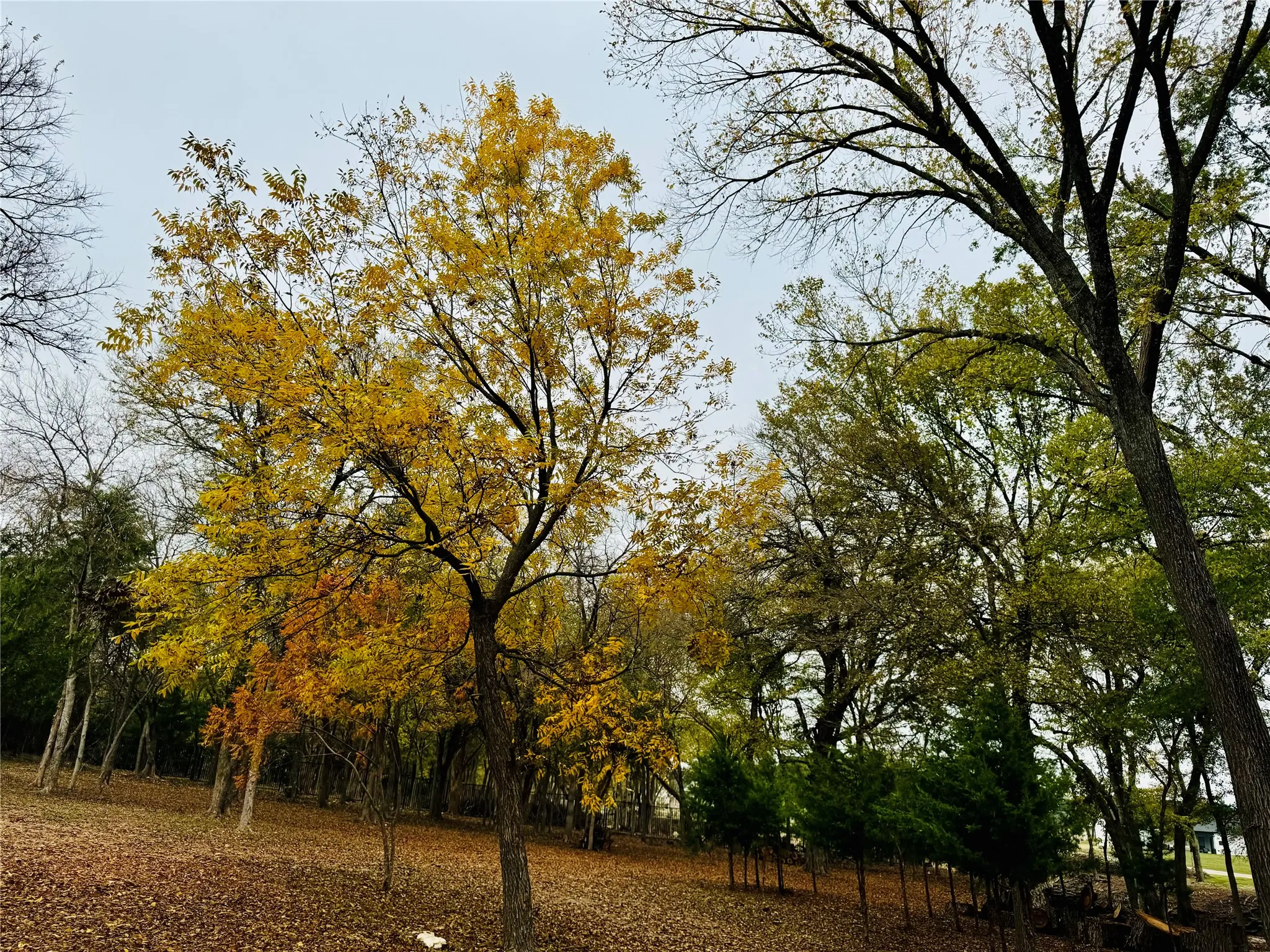 Unimproved Land For Sale in Ellis County , 5631 Melrose Lane, Midlothian, Texas 76065, 0, 0, Garage spaces, 0 Sqft, built in 0, mls#21330990, Real Estate Agent in Midlothian, Homes For Sale in Ellis county, Homes For Sale in Midlothian, Realtor in Midlothian Texas, Real Estate Brokerage Independent Realty Texas, Luminita Cordes Realtor