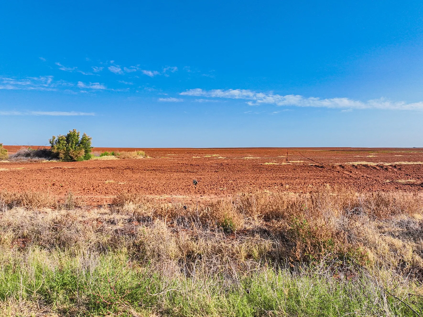 Unimproved Land For Sale in Fisher County , APN 3166 Country Road 304, Roby, Texas 79543, 0, 0, Garage spaces, 0 Sqft, built in 0, mls#21331261, Real Estate Agent in Roby, Homes For Sale in Fisher county, Homes For Sale in Roby, Realtor in Roby Texas, Real Estate Brokerage Independent Realty Texas, Luminita Cordes Realtor