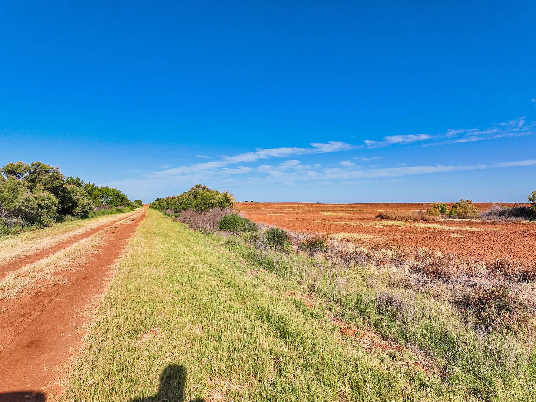 Unimproved Land For Sale in Fisher County , APN 3166 Country Road 304, Roby, Texas 79543, 0, 0, Garage spaces, 0 Sqft, built in 0, mls#21331261, Real Estate Agent in Roby, Homes For Sale in Fisher county, Homes For Sale in Roby, Realtor in Roby Texas, Real Estate Brokerage Independent Realty Texas, Luminita Cordes Realtor
