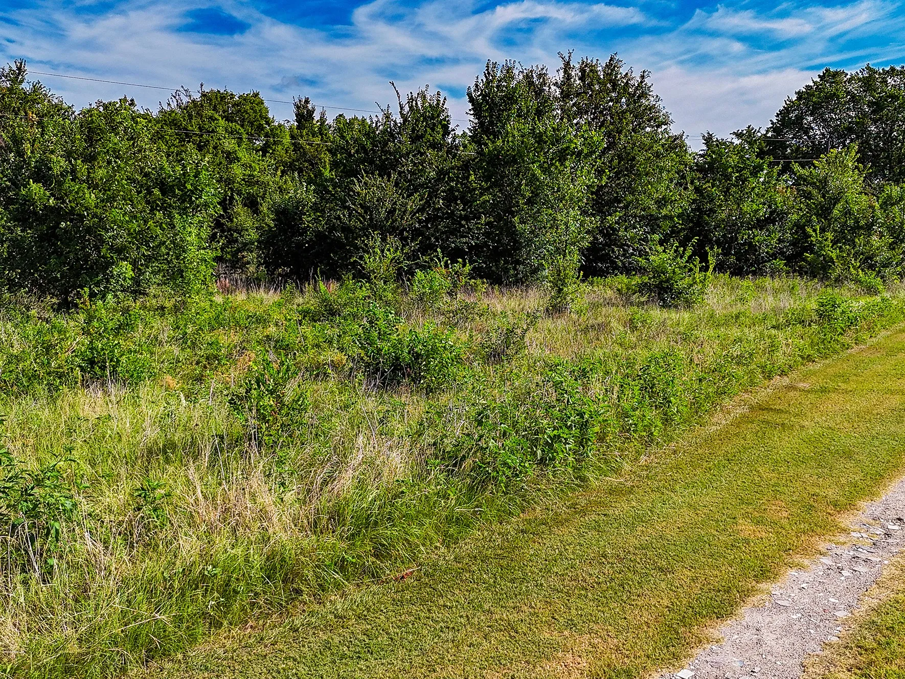 Unimproved Land For Sale in Kaufman County , APN 5830 Co Rd 301, Terrell, Texas 75160, 0, 0, Garage spaces, 0 Sqft, built in 0, mls#21331323, Real Estate Agent in Terrell, Homes For Sale in Kaufman county, Homes For Sale in Terrell, Realtor in Terrell Texas, Real Estate Brokerage Independent Realty Texas, Luminita Cordes Realtor