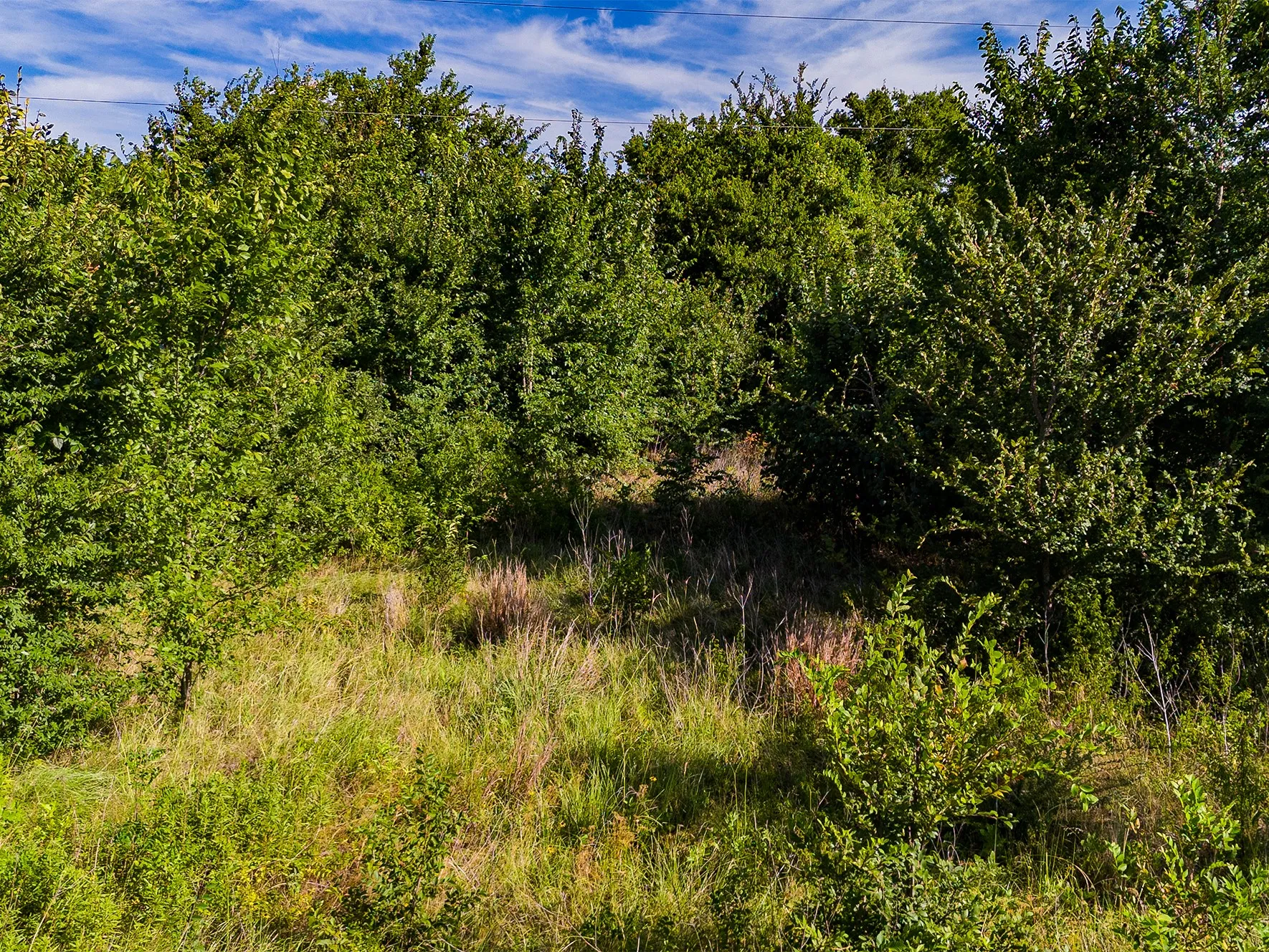 Unimproved Land For Sale in Kaufman County , APN 5830 Co Rd 301, Terrell, Texas 75160, 0, 0, Garage spaces, 0 Sqft, built in 0, mls#21331323, Real Estate Agent in Terrell, Homes For Sale in Kaufman county, Homes For Sale in Terrell, Realtor in Terrell Texas, Real Estate Brokerage Independent Realty Texas, Luminita Cordes Realtor
