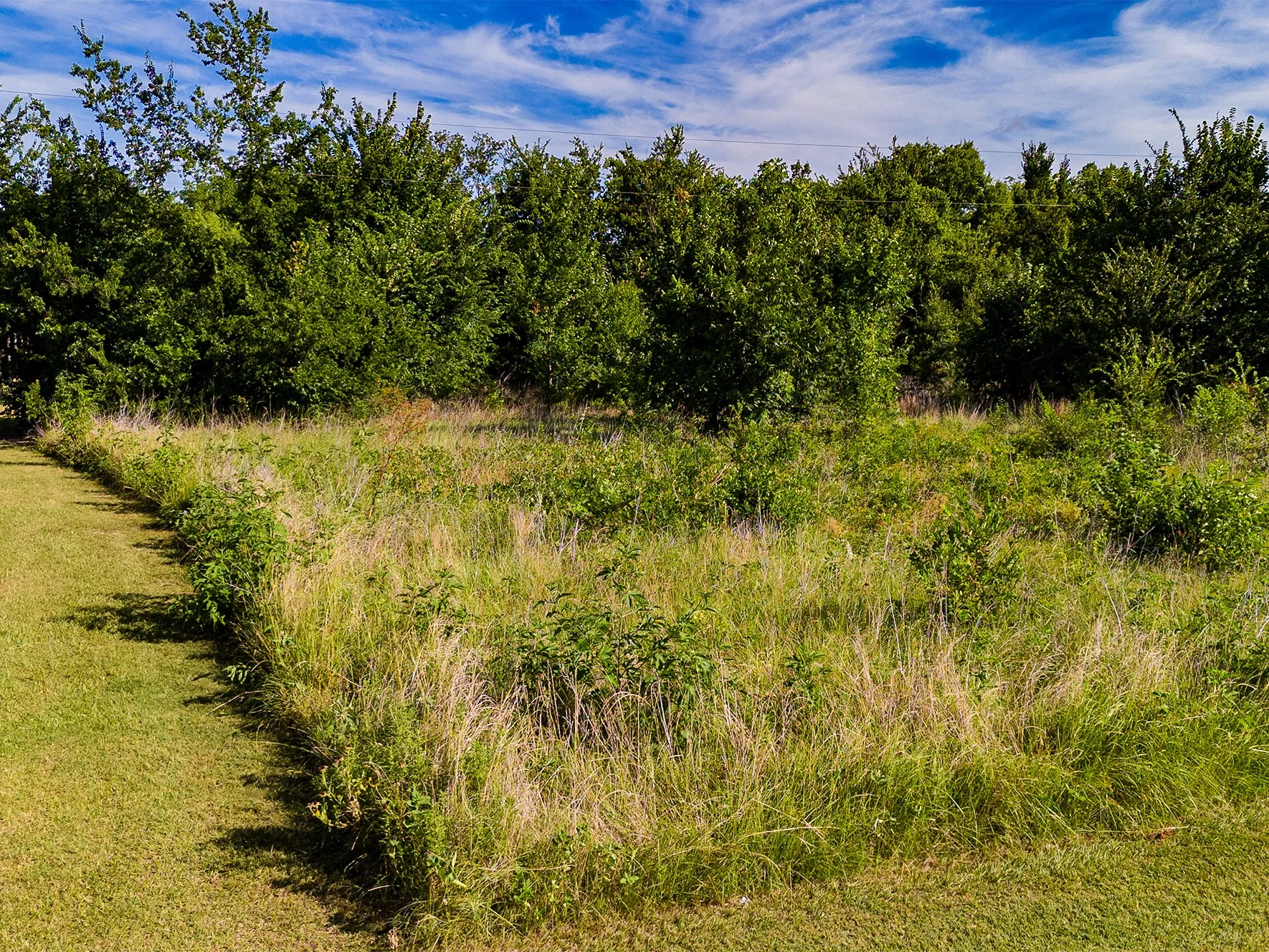 Unimproved Land For Sale in Kaufman County , APN 5830 Co Rd 301, Terrell, Texas 75160, 0, 0, Garage spaces, 0 Sqft, built in 0, mls#21331323, Real Estate Agent in Terrell, Homes For Sale in Kaufman county, Homes For Sale in Terrell, Realtor in Terrell Texas, Real Estate Brokerage Independent Realty Texas, Luminita Cordes Realtor
