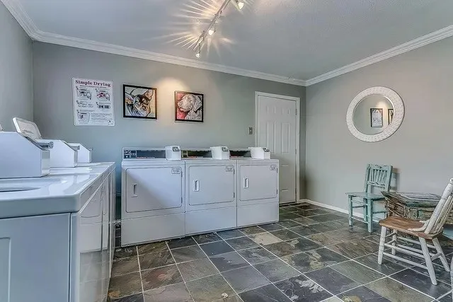 Utility room featuring slate-finish floor tiling, track lighting, and crown molding