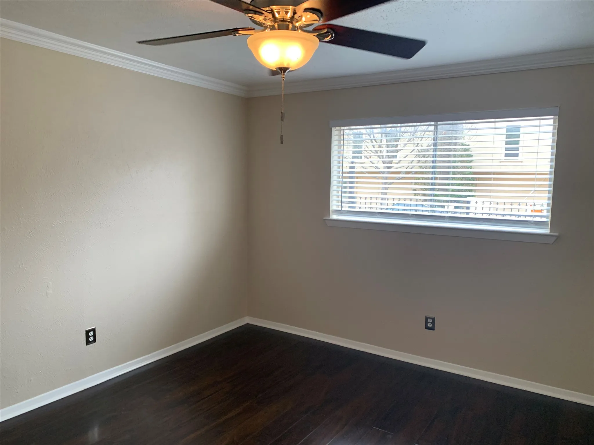 Interior room featuring wood-finish flooring, light-toned walls, and white trim