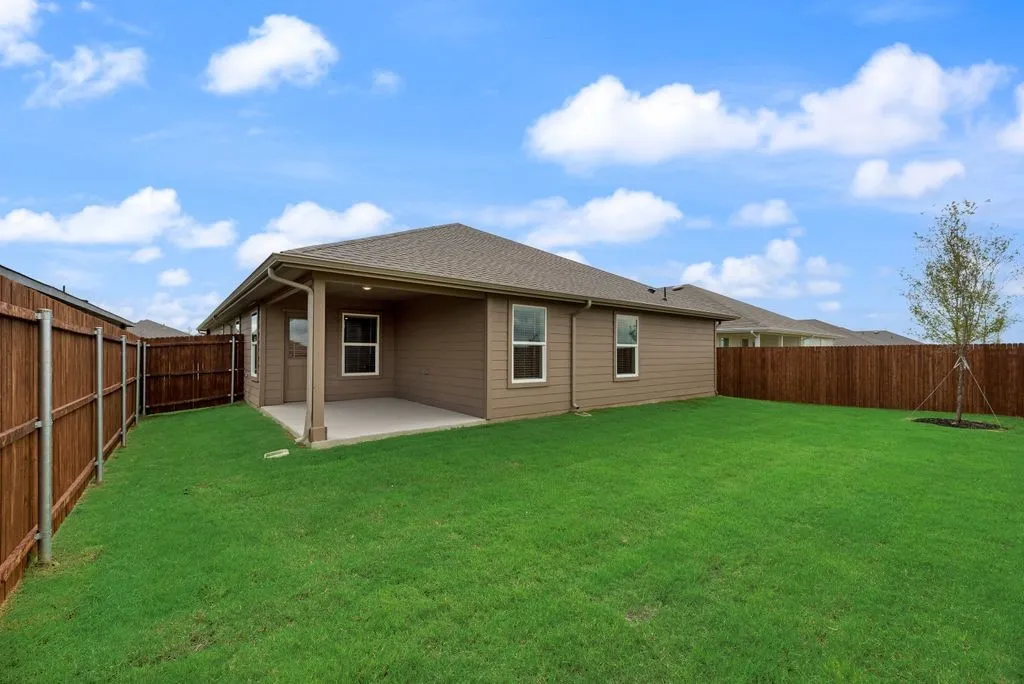 Expansive backyard featuring a manicured lawn, a covered concrete patio, and a newly planted tree