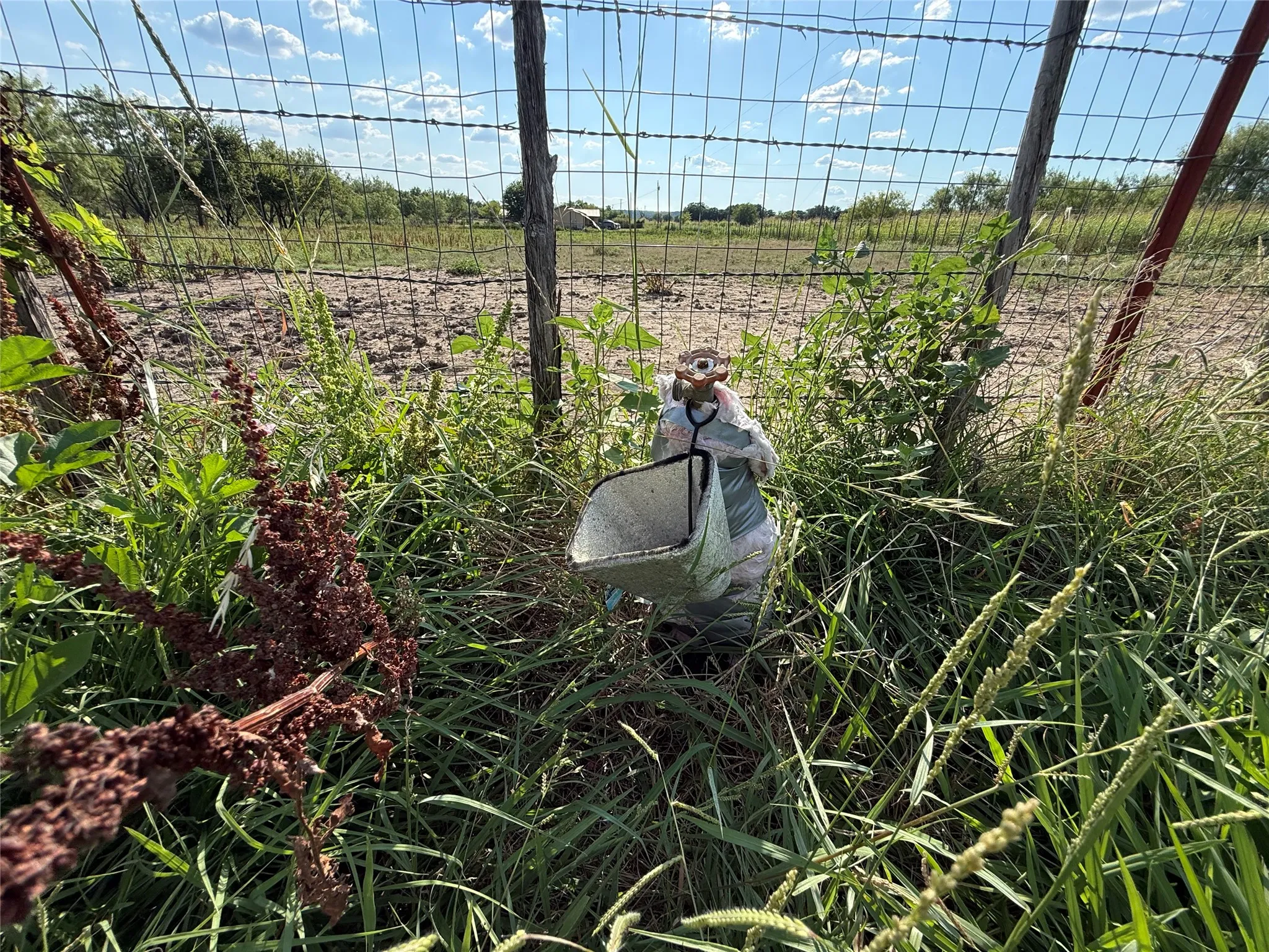 Spicket next to fenced pasture