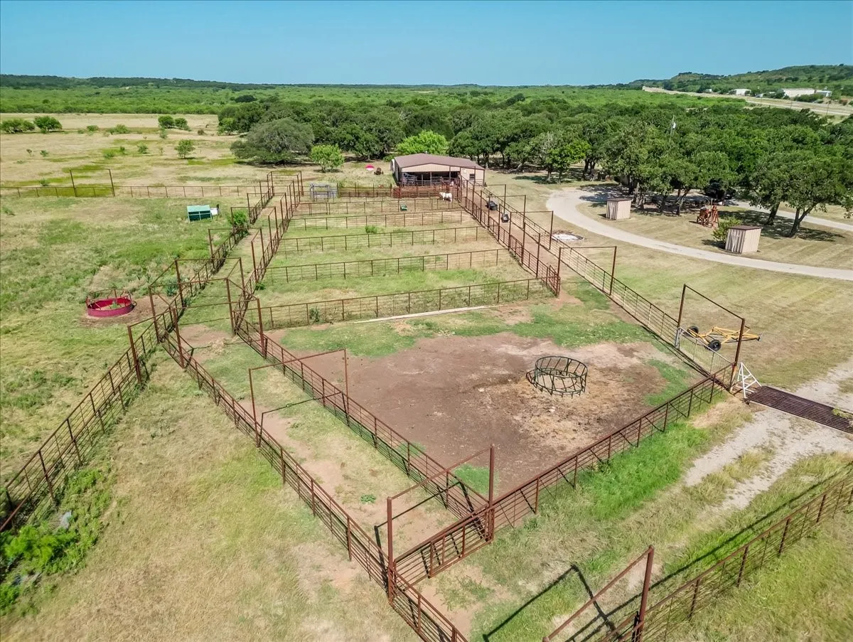 Amazing set of Cattle pens with adjustable run up lane