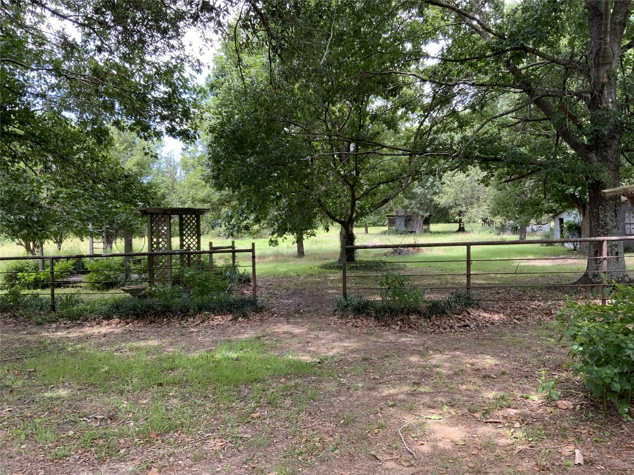 back yard/flower garden/out buildings