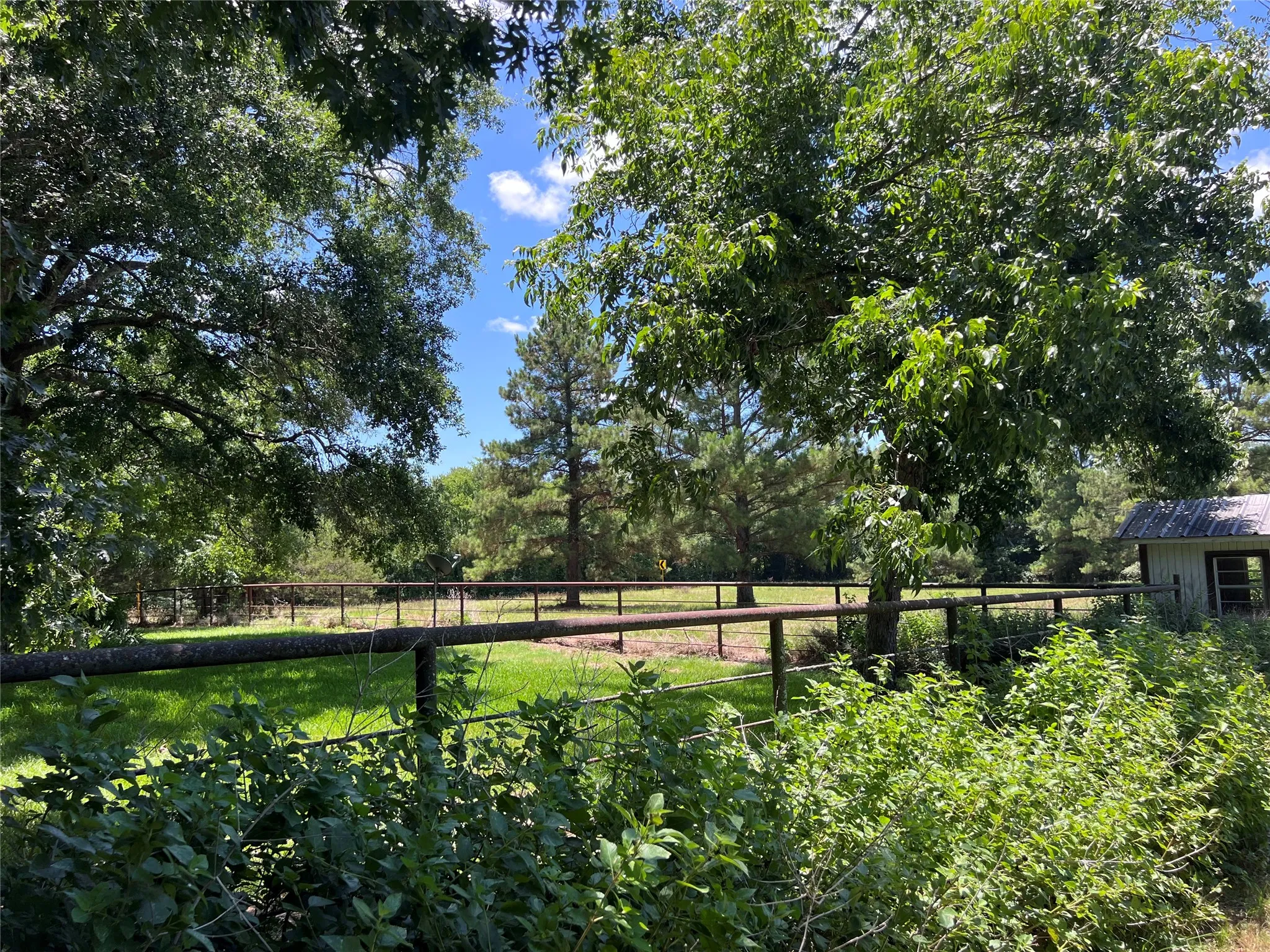 back yard/side land/well house