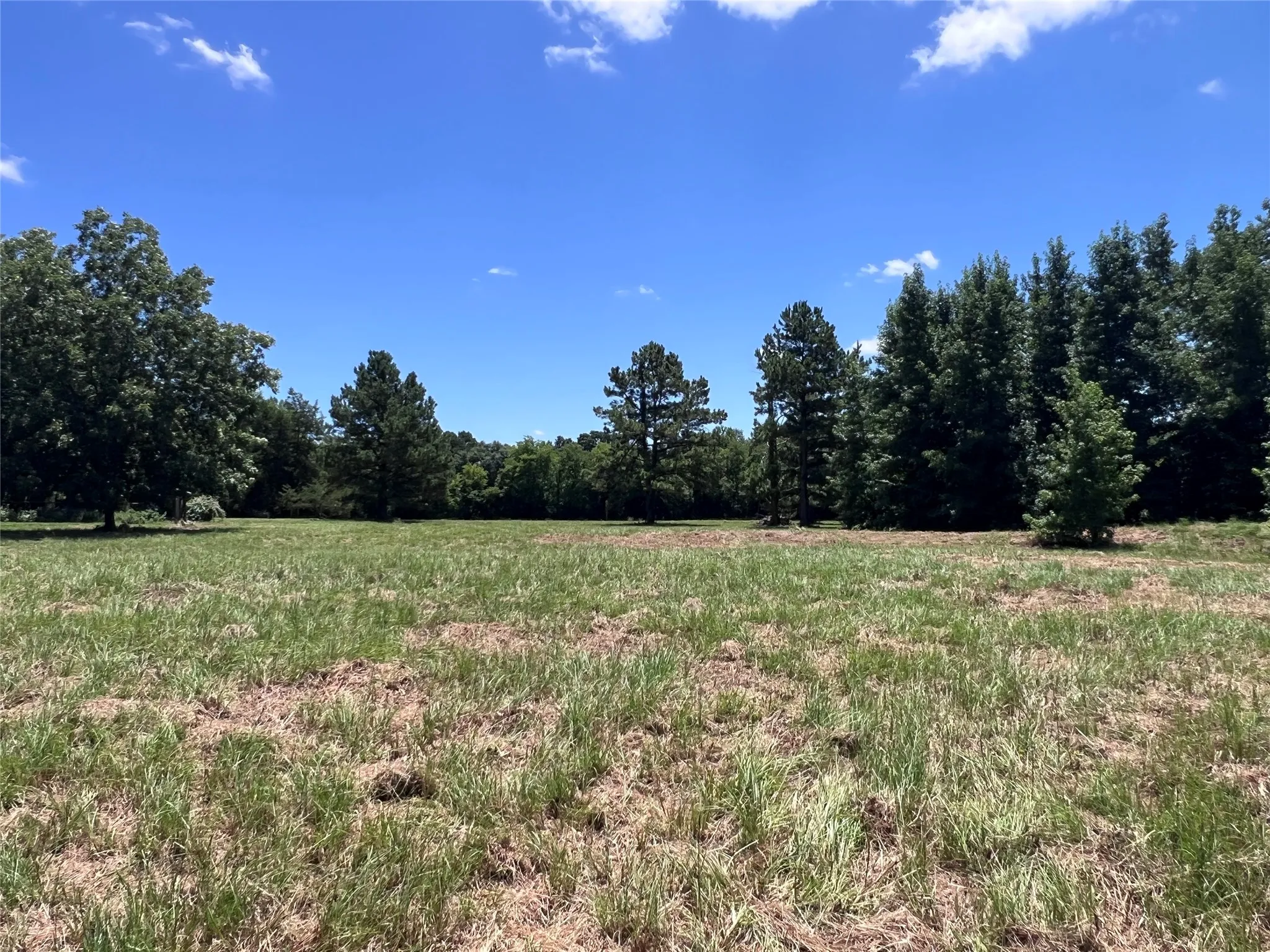 side land