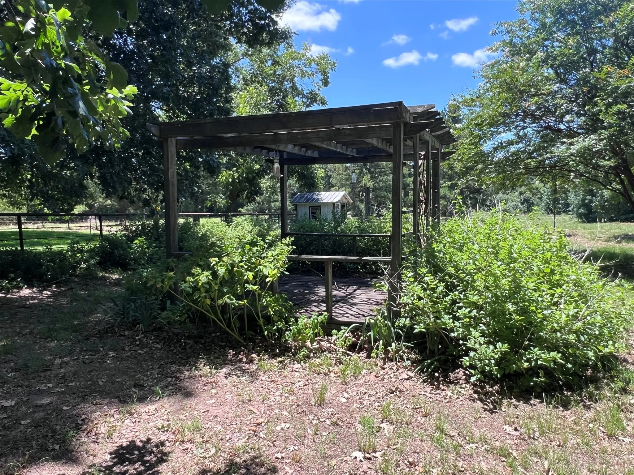 back yard/flower garden