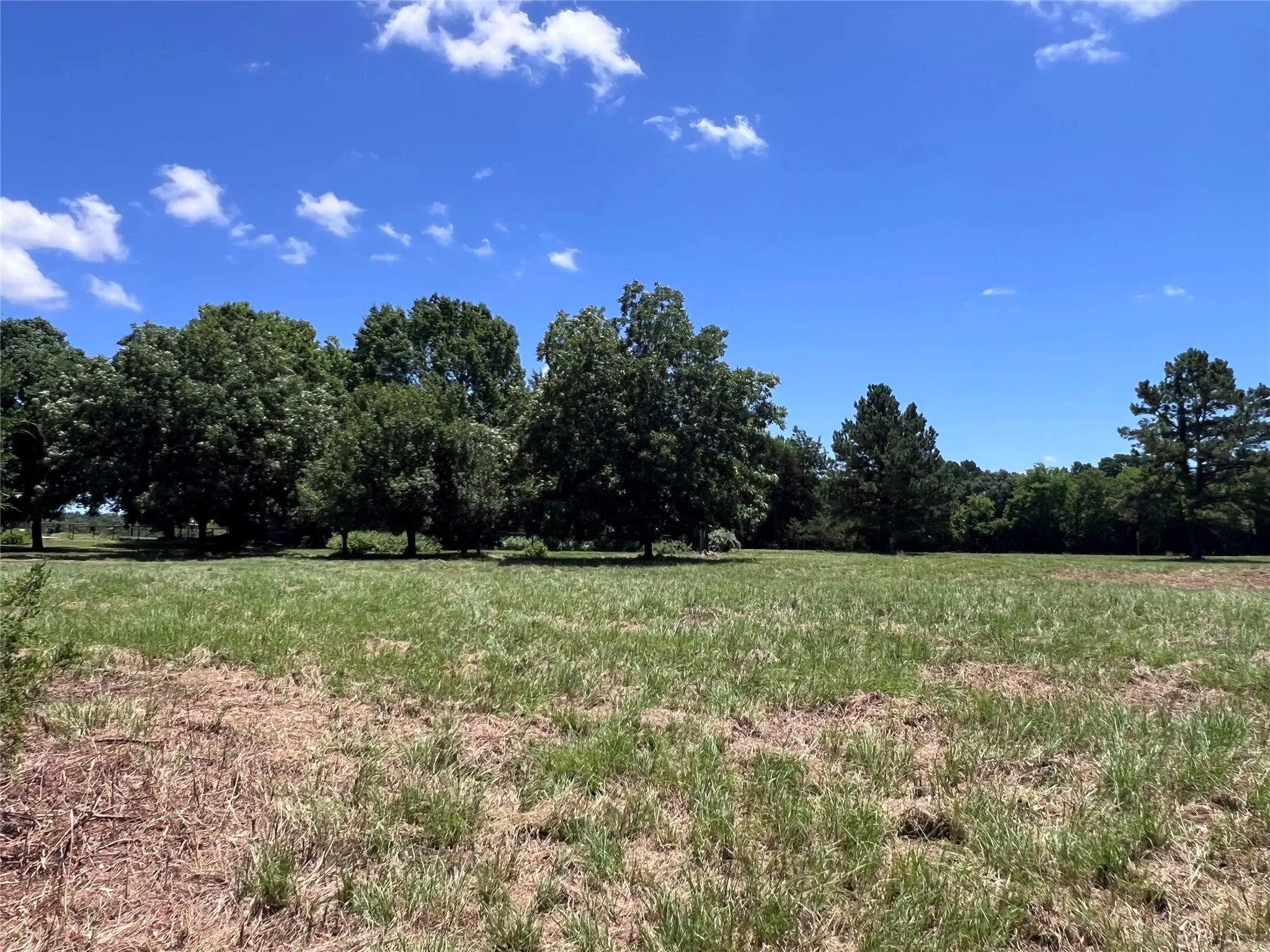 back/side land