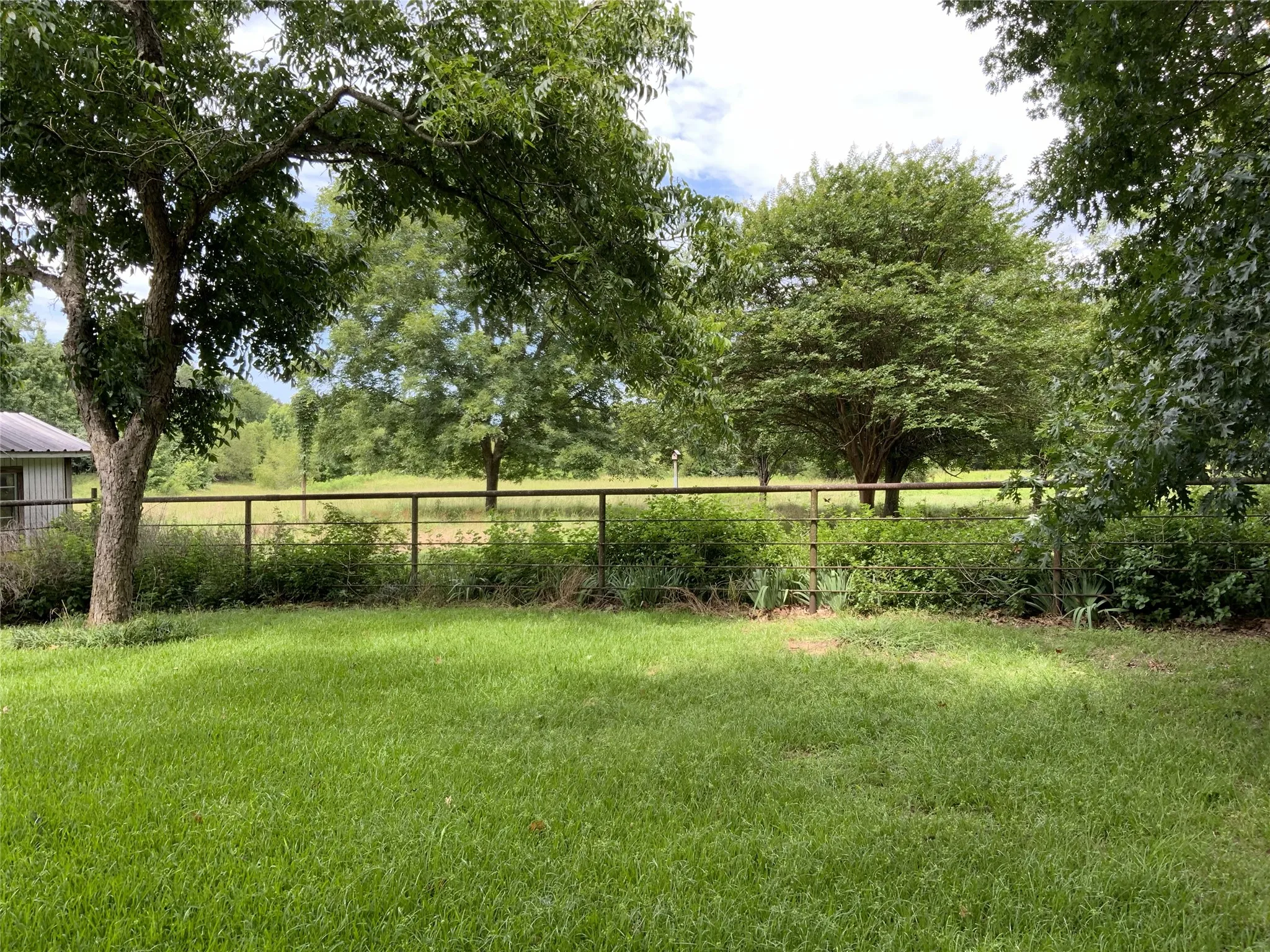 back yard/well house