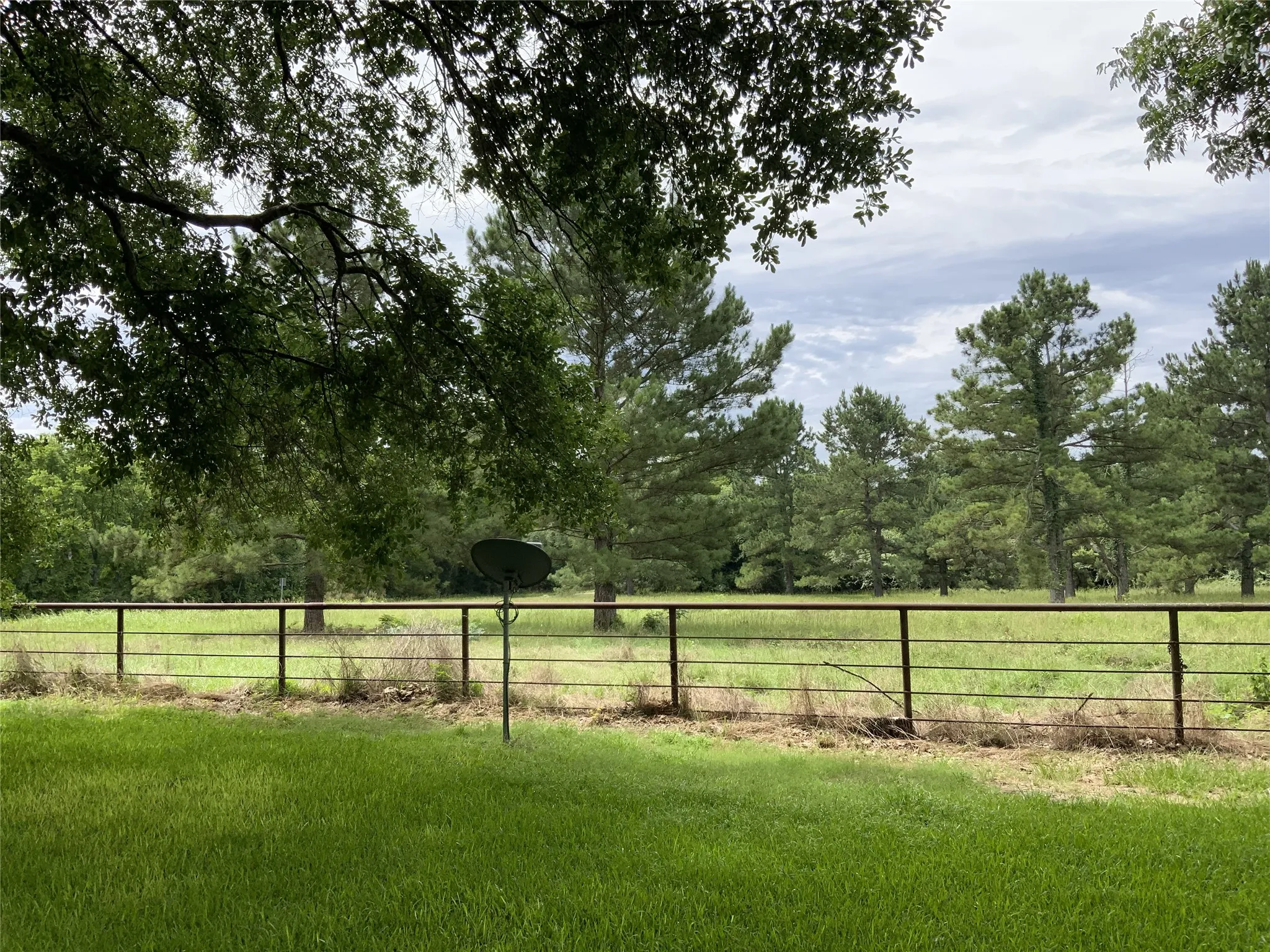 side yard/side land