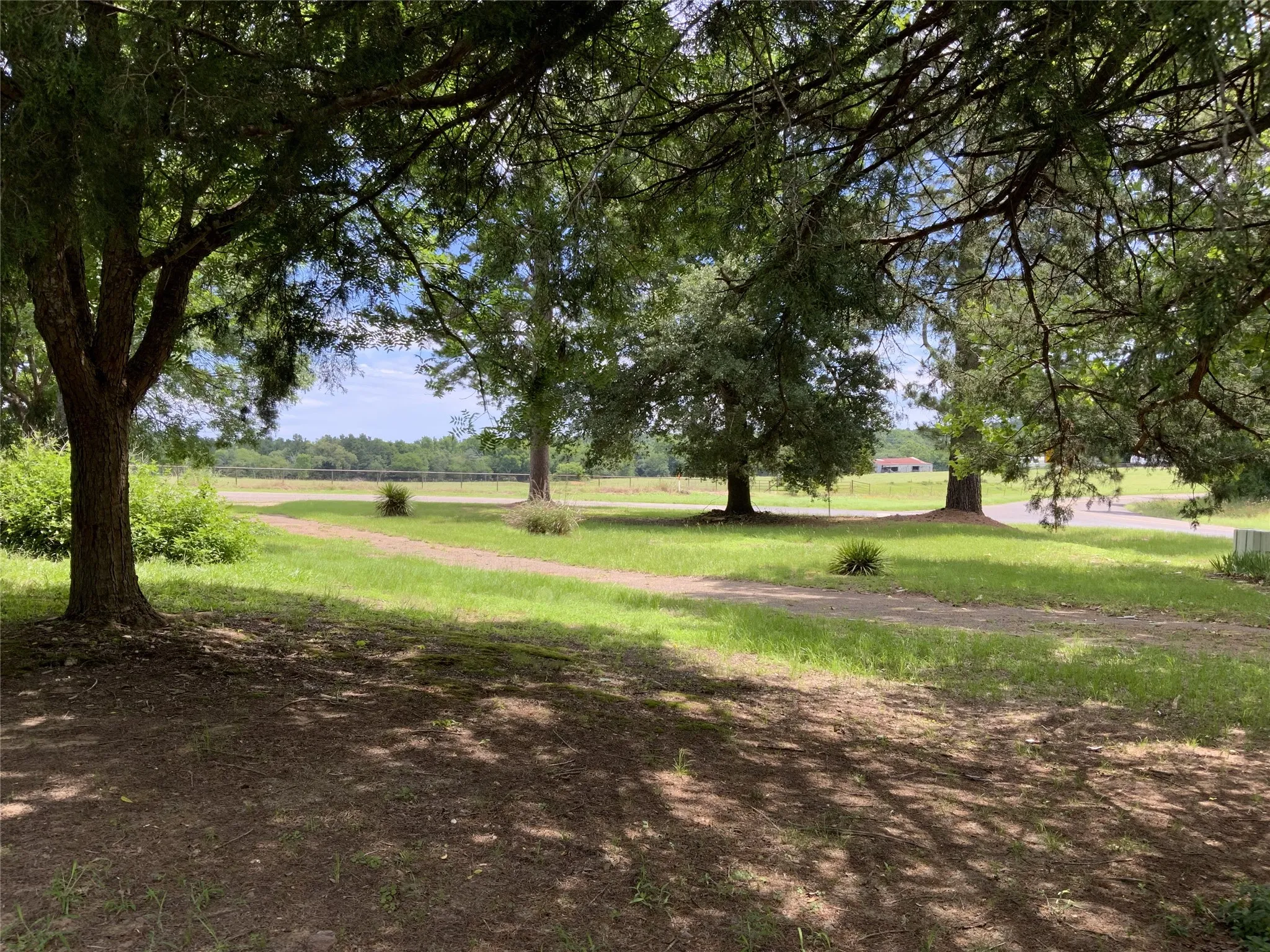 front yard/circle drive