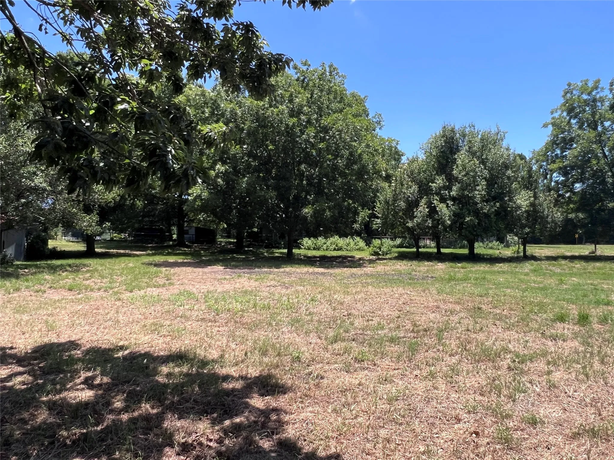 back/side land