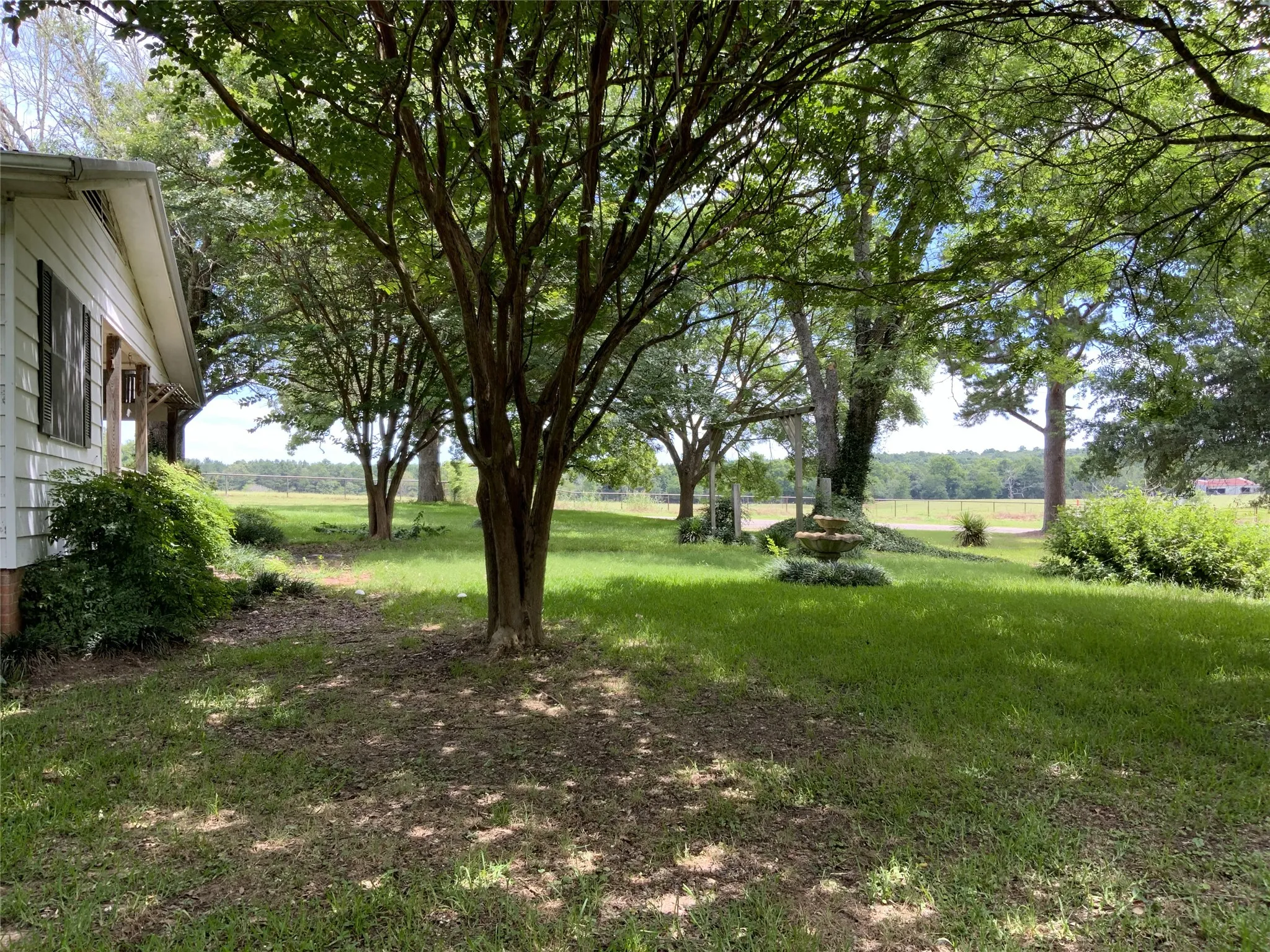 front exterior/front yard