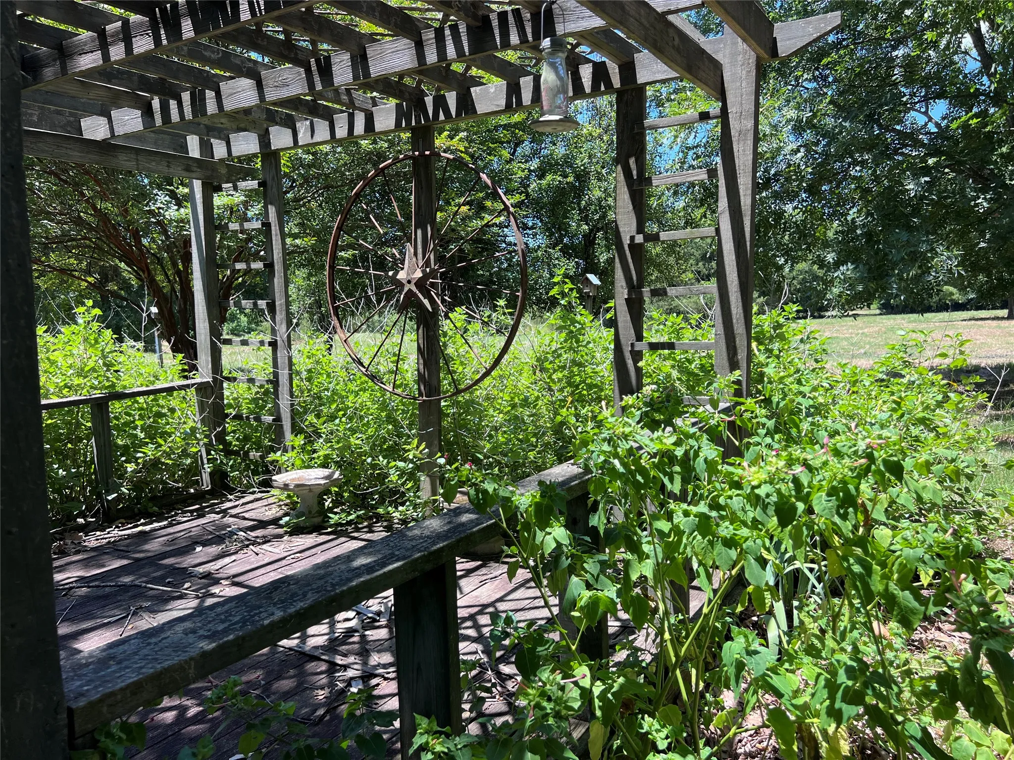 pergola/flower garden