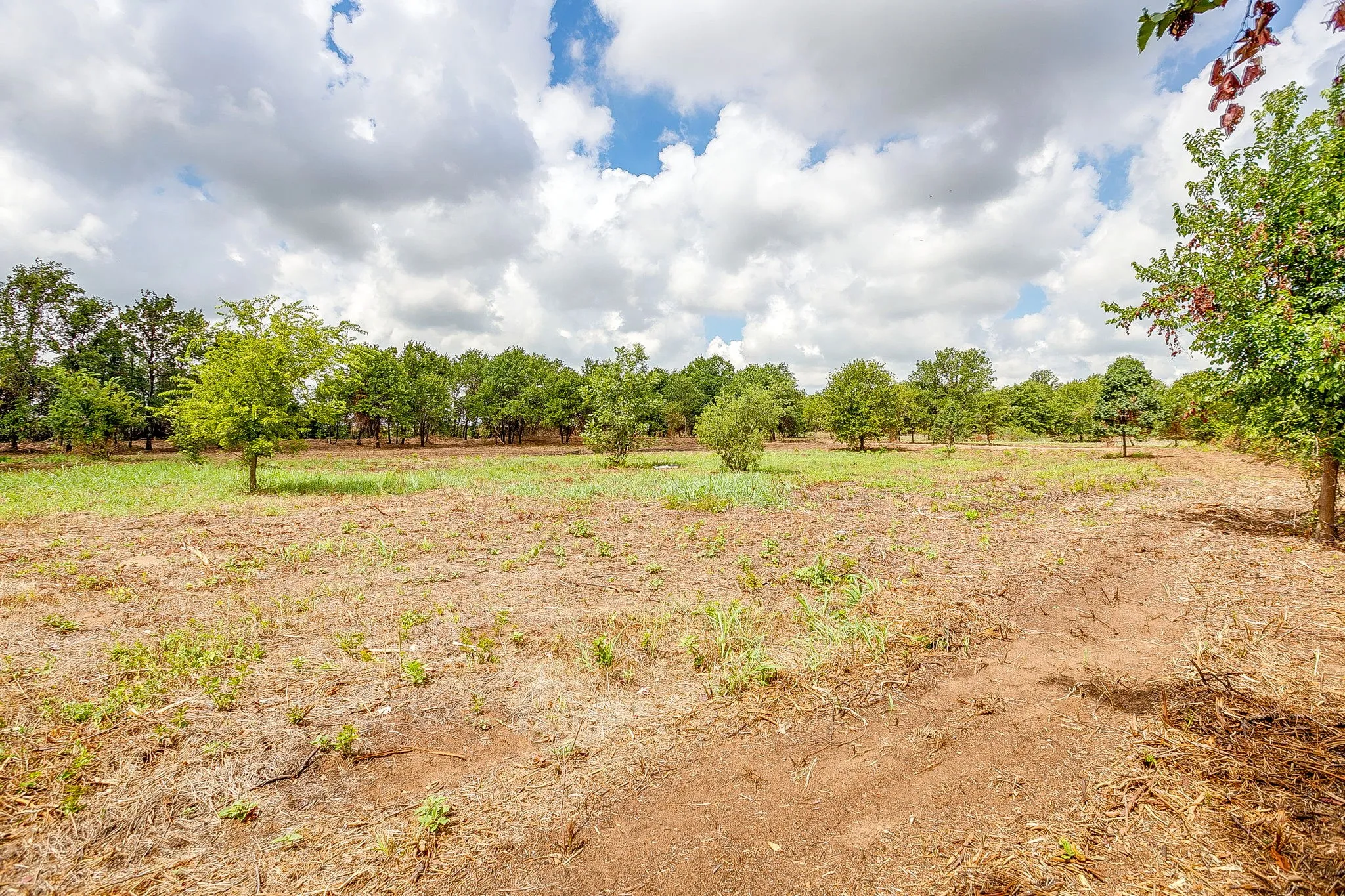 Unimproved Land For Sale in Parker County , 890 Clover Drive, Poolville, Texas 76487, 0, 0, Garage spaces, 0 Sqft, built in 0, mls#21331395, Real Estate Agent in Poolville, Homes For Sale in Parker county, Homes For Sale in Poolville, Realtor in Poolville Texas, Real Estate Brokerage Independent Realty Texas, Luminita Cordes Realtor