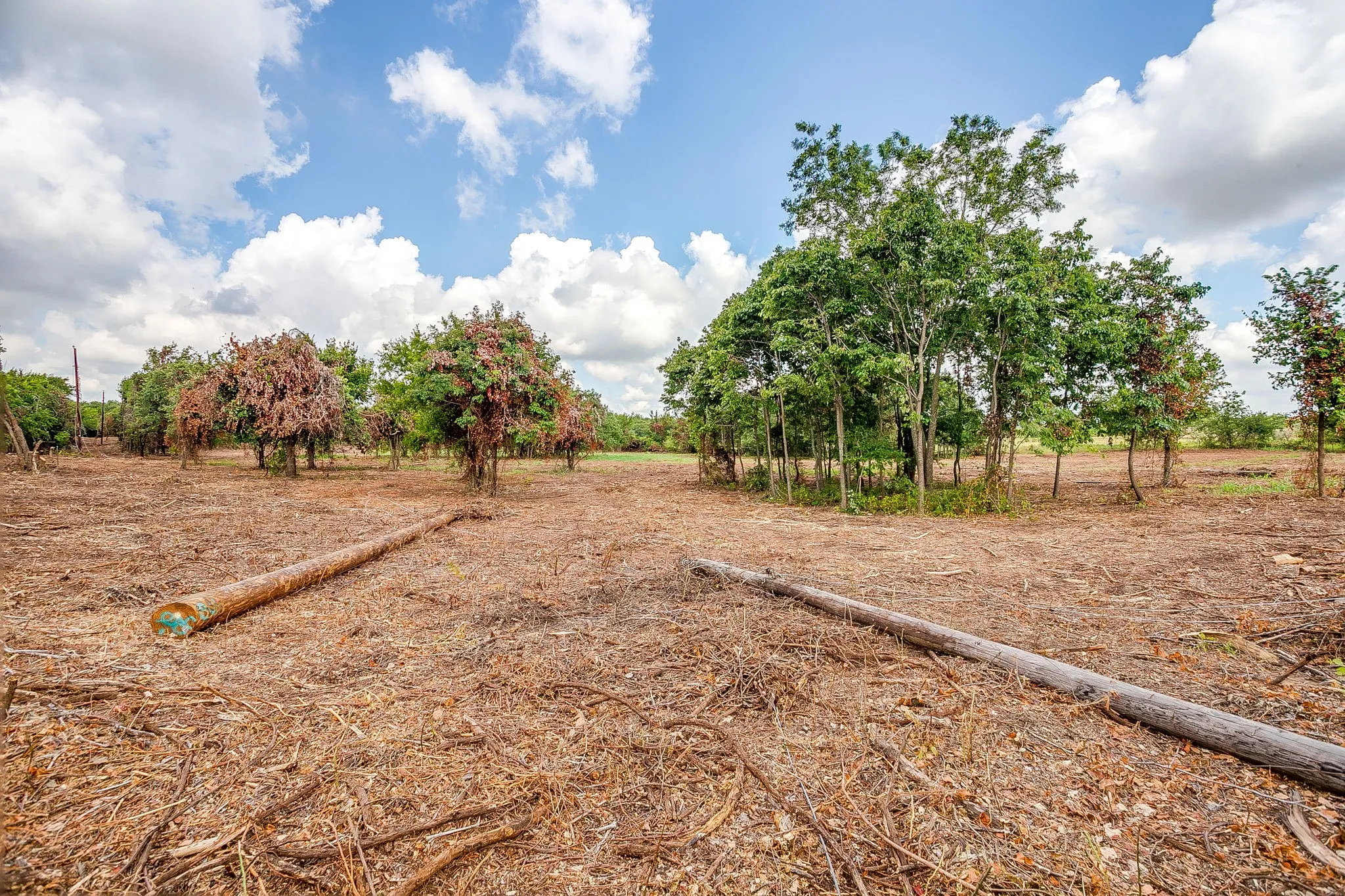 Unimproved Land For Sale in Parker County , 890 Clover Drive, Poolville, Texas 76487, 0, 0, Garage spaces, 0 Sqft, built in 0, mls#21331395, Real Estate Agent in Poolville, Homes For Sale in Parker county, Homes For Sale in Poolville, Realtor in Poolville Texas, Real Estate Brokerage Independent Realty Texas, Luminita Cordes Realtor