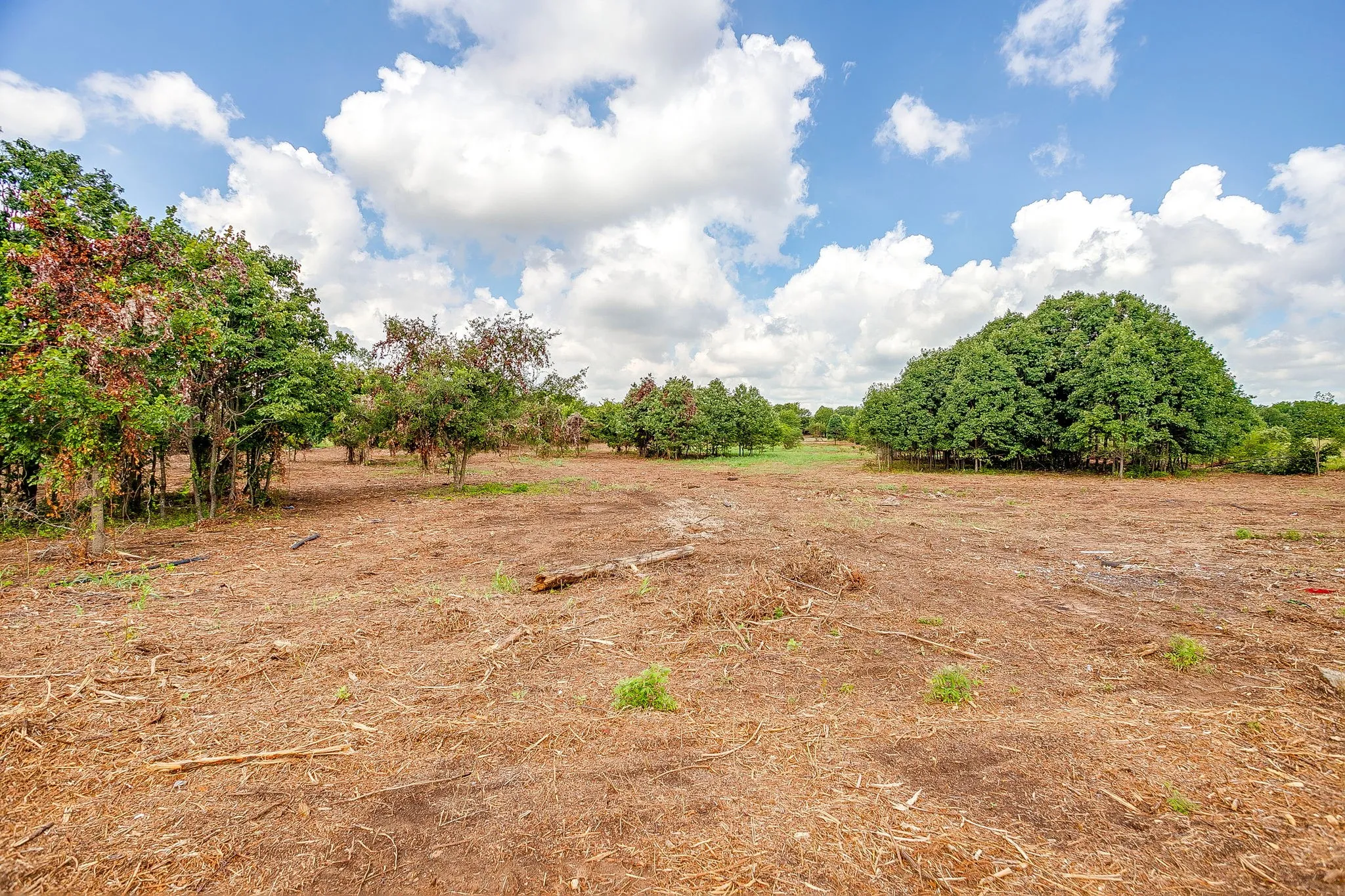 Unimproved Land For Sale in Parker County , 890 Clover Drive, Poolville, Texas 76487, 0, 0, Garage spaces, 0 Sqft, built in 0, mls#21331395, Real Estate Agent in Poolville, Homes For Sale in Parker county, Homes For Sale in Poolville, Realtor in Poolville Texas, Real Estate Brokerage Independent Realty Texas, Luminita Cordes Realtor