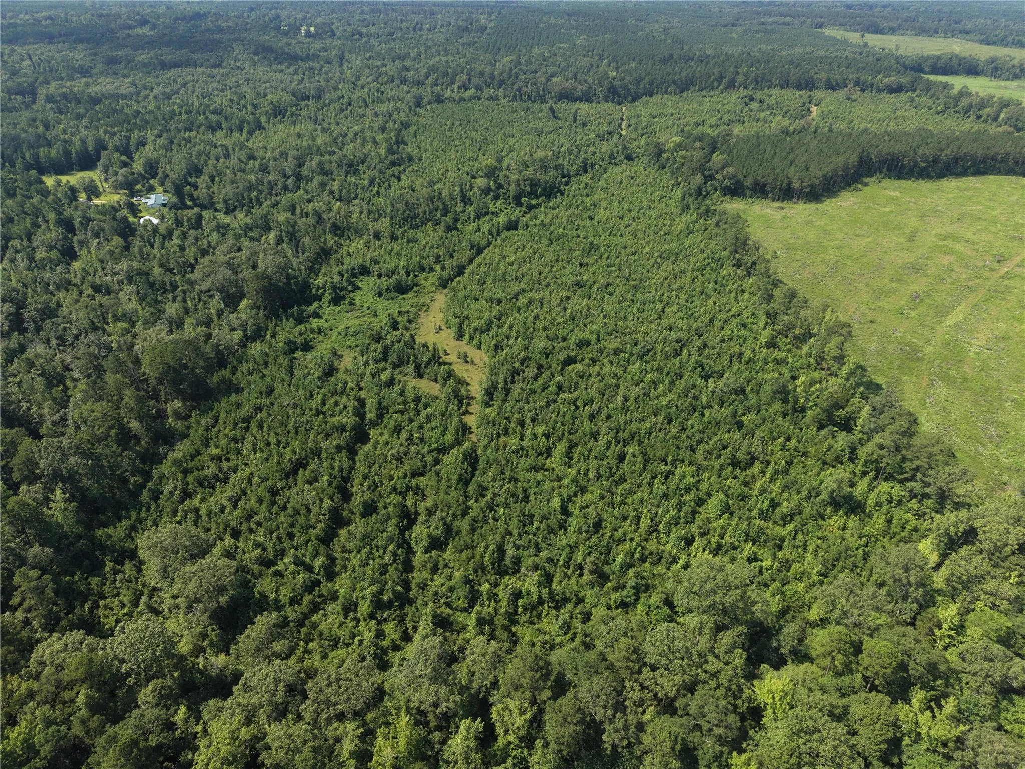 Unimproved Land For Sale in Cass County , 0000 County road 2339, Marietta, Texas 75566, 0, 0, Garage spaces, 0 Sqft, built in 0, Price $374,999, mls#21331458, Real Estate Agent in Marietta, Homes For Sale in Cass county, Homes For Sale in Marietta, Realtor in Marietta Texas, Real Estate Brokerage Independent Realty Texas, Luminita Cordes Realtor