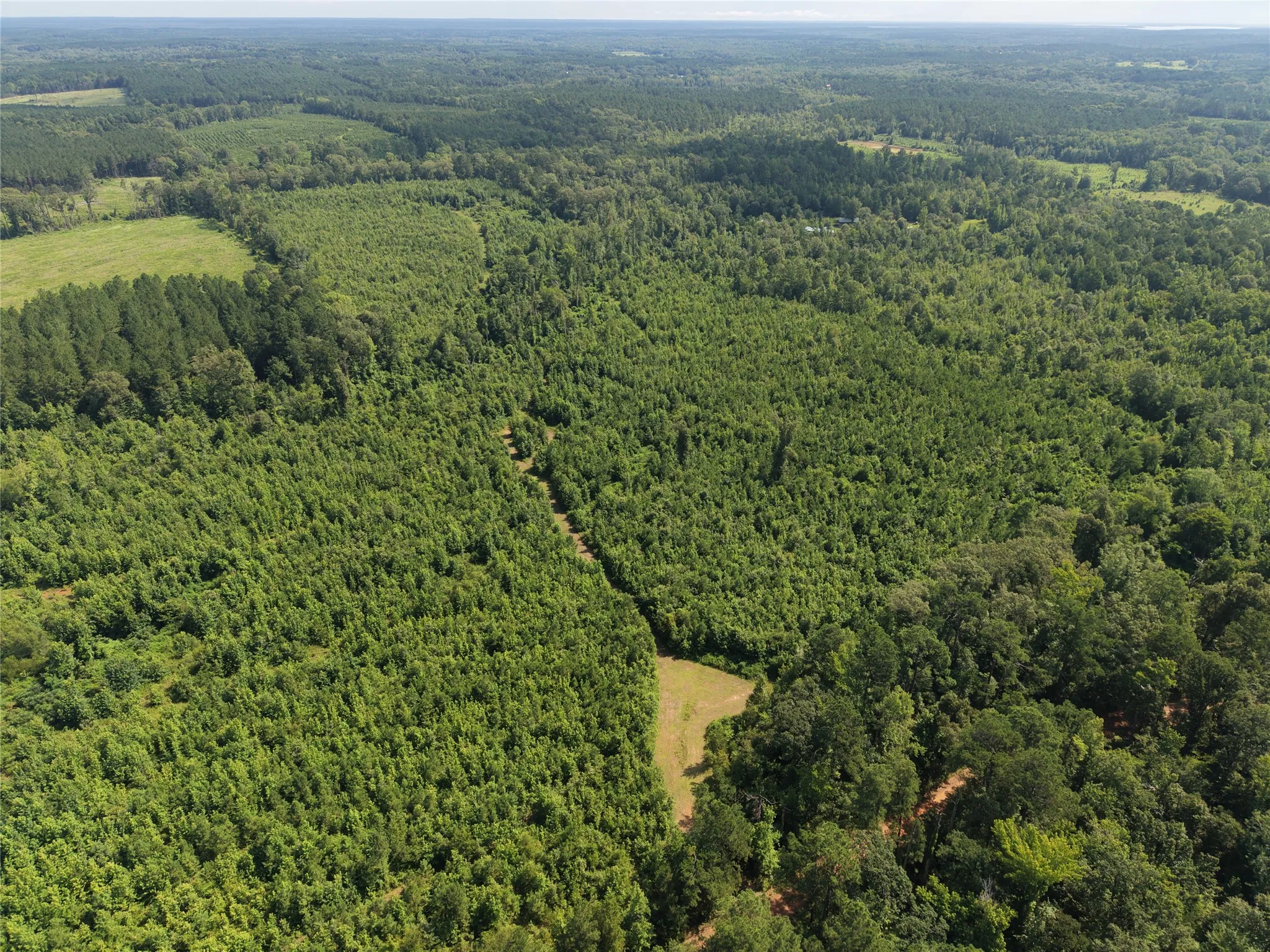 Unimproved Land For Sale in Cass County , 0000 County road 2339, Marietta, Texas 75566, 0, 0, Garage spaces, 0 Sqft, built in 0, Price $374,999, mls#21331458, Real Estate Agent in Marietta, Homes For Sale in Cass county, Homes For Sale in Marietta, Realtor in Marietta Texas, Real Estate Brokerage Independent Realty Texas, Luminita Cordes Realtor