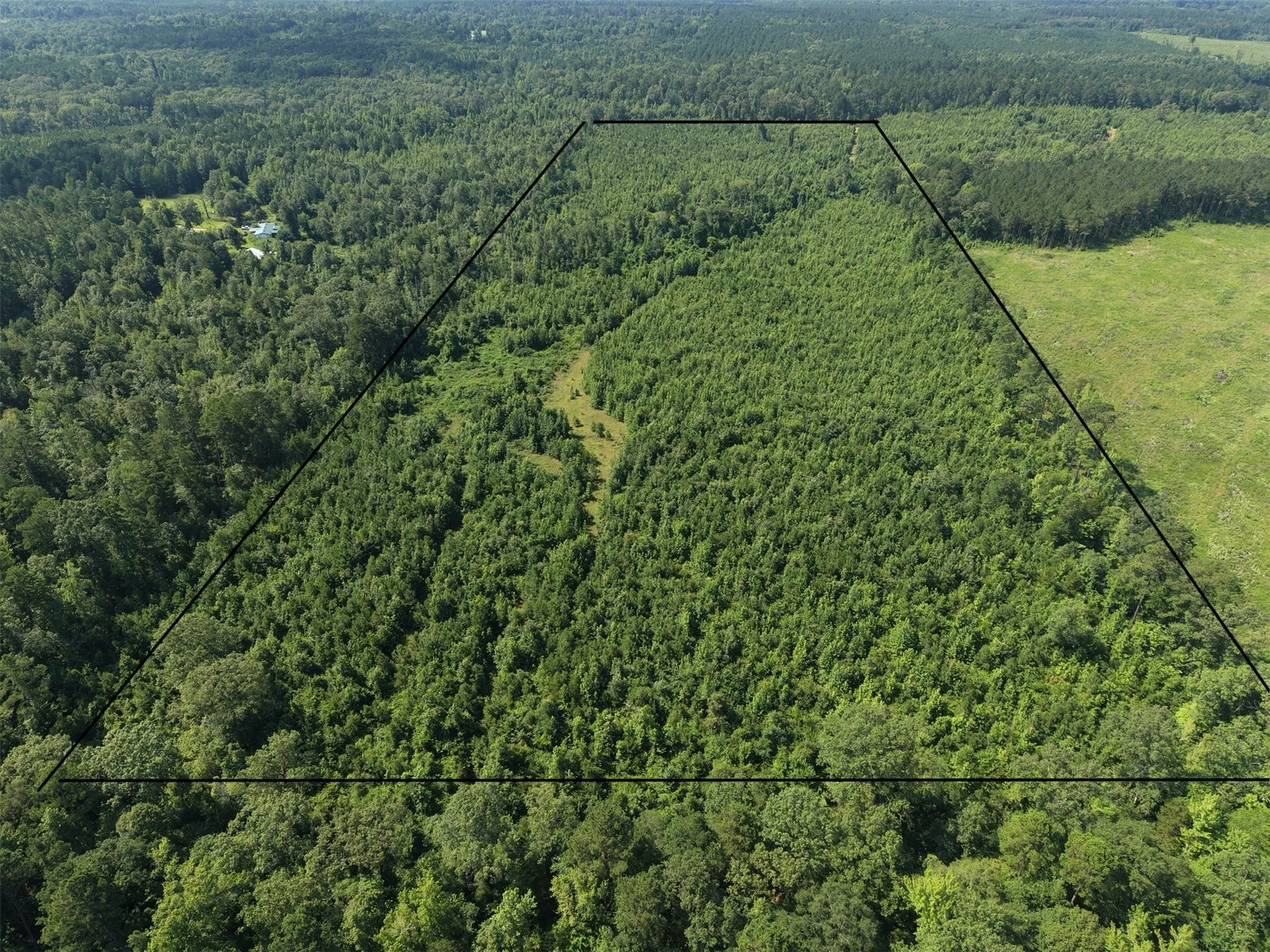 Unimproved Land For Sale in Cass County , 0000 County road 2339, Marietta, Texas 75566, 0, 0, Garage spaces, 0 Sqft, built in 0, Price $374,999, mls#21331458, Real Estate Agent in Marietta, Homes For Sale in Cass county, Homes For Sale in Marietta, Realtor in Marietta Texas, Real Estate Brokerage Independent Realty Texas, Luminita Cordes Realtor
