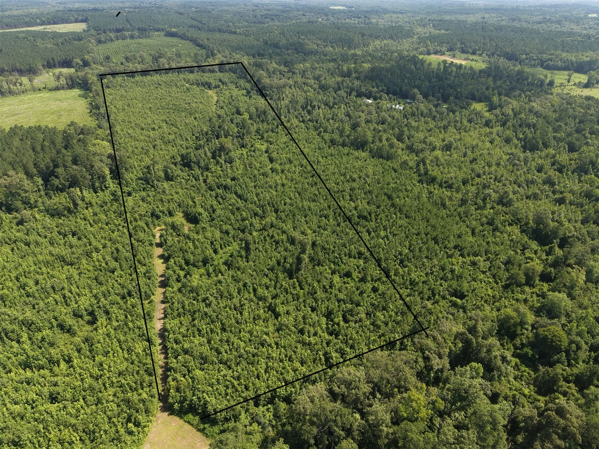 Unimproved Land For Sale in Cass County , 0000 County road 2339, Marietta, Texas 75566, 0, 0, Garage spaces, 0 Sqft, built in 0, Price $374,999, mls#21331458, Real Estate Agent in Marietta, Homes For Sale in Cass county, Homes For Sale in Marietta, Realtor in Marietta Texas, Real Estate Brokerage Independent Realty Texas, Luminita Cordes Realtor