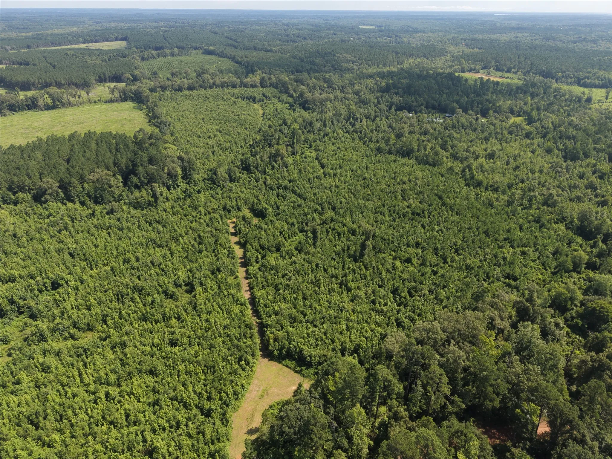 Unimproved Land For Sale in Cass County , 0000 County road 2339, Marietta, Texas 75566, 0, 0, Garage spaces, 0 Sqft, built in 0, Price $374,999, mls#21331458, Real Estate Agent in Marietta, Homes For Sale in Cass county, Homes For Sale in Marietta, Realtor in Marietta Texas, Real Estate Brokerage Independent Realty Texas, Luminita Cordes Realtor