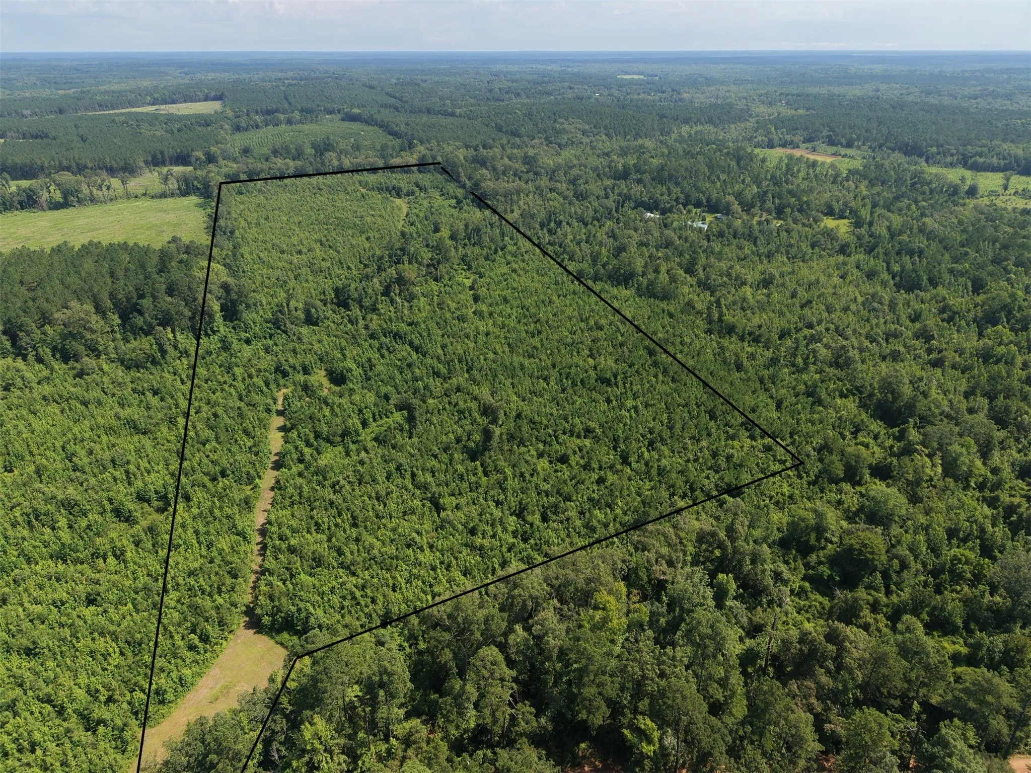 Unimproved Land For Sale in Cass County , 0000 County road 2339, Marietta, Texas 75566, 0, 0, Garage spaces, 0 Sqft, built in 0, Price $374,999, mls#21331458, Real Estate Agent in Marietta, Homes For Sale in Cass county, Homes For Sale in Marietta, Realtor in Marietta Texas, Real Estate Brokerage Independent Realty Texas, Luminita Cordes Realtor