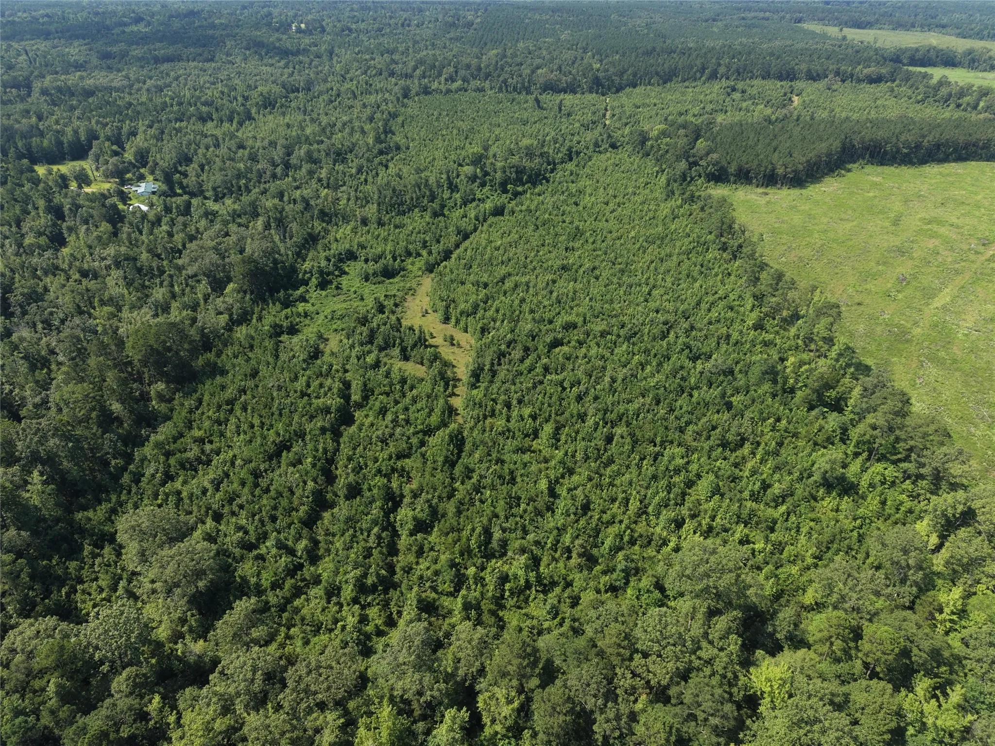 Unimproved Land For Sale in Cass County , 0000 County road 2339, Marietta, Texas 75566, 0, 0, Garage spaces, 0 Sqft, built in 0, Price $374,999, mls#21331458, Real Estate Agent in Marietta, Homes For Sale in Cass county, Homes For Sale in Marietta, Realtor in Marietta Texas, Real Estate Brokerage Independent Realty Texas, Luminita Cordes Realtor