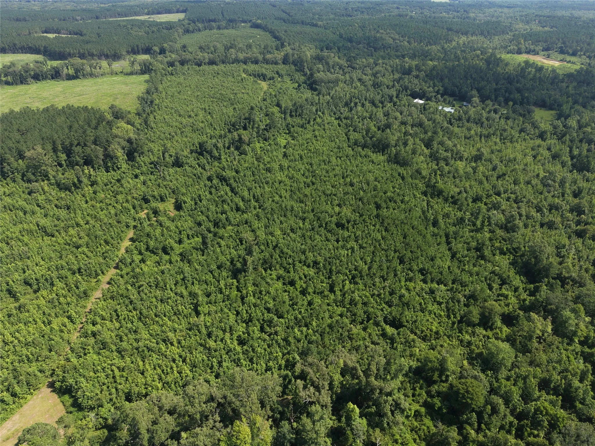 Unimproved Land For Sale in Cass County , 0000 County road 2339, Marietta, Texas 75566, 0, 0, Garage spaces, 0 Sqft, built in 0, Price $374,999, mls#21331458, Real Estate Agent in Marietta, Homes For Sale in Cass county, Homes For Sale in Marietta, Realtor in Marietta Texas, Real Estate Brokerage Independent Realty Texas, Luminita Cordes Realtor
