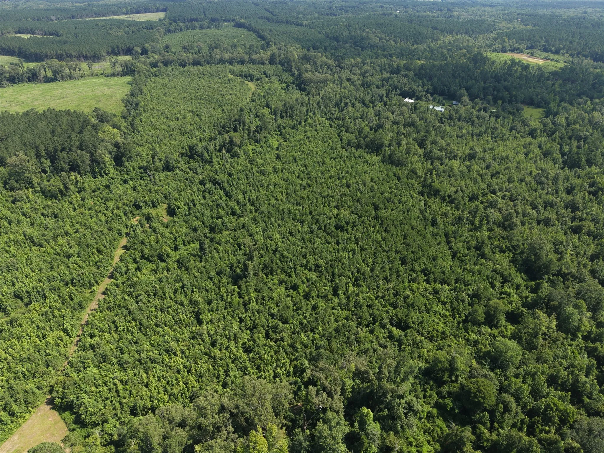 Unimproved Land For Sale in Cass County , 0000 County road 2339, Marietta, Texas 75566, 0, 0, Garage spaces, 0 Sqft, built in 0, Price $374,999, mls#21331458, Real Estate Agent in Marietta, Homes For Sale in Cass county, Homes For Sale in Marietta, Realtor in Marietta Texas, Real Estate Brokerage Independent Realty Texas, Luminita Cordes Realtor