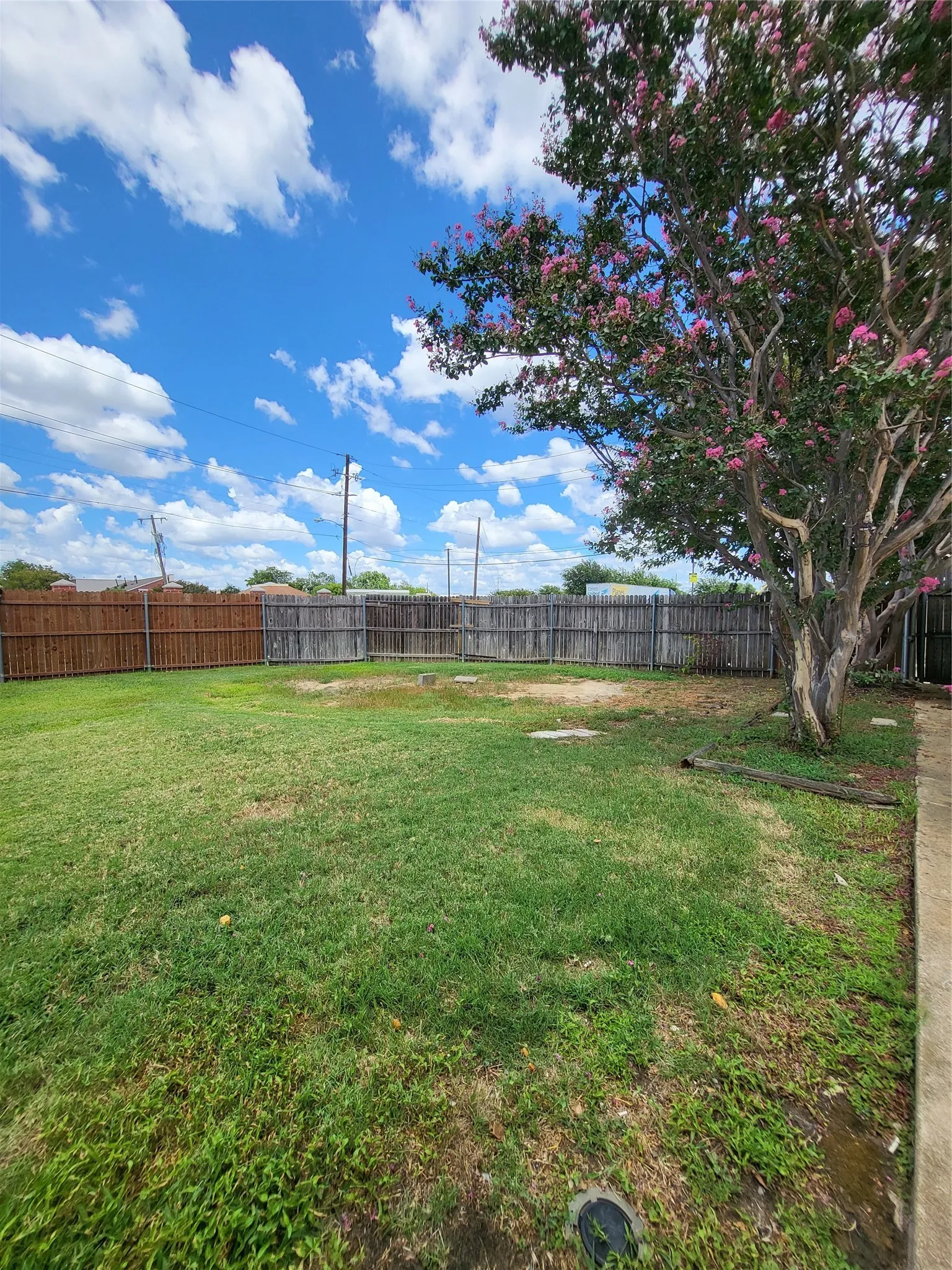 Expansive backyard